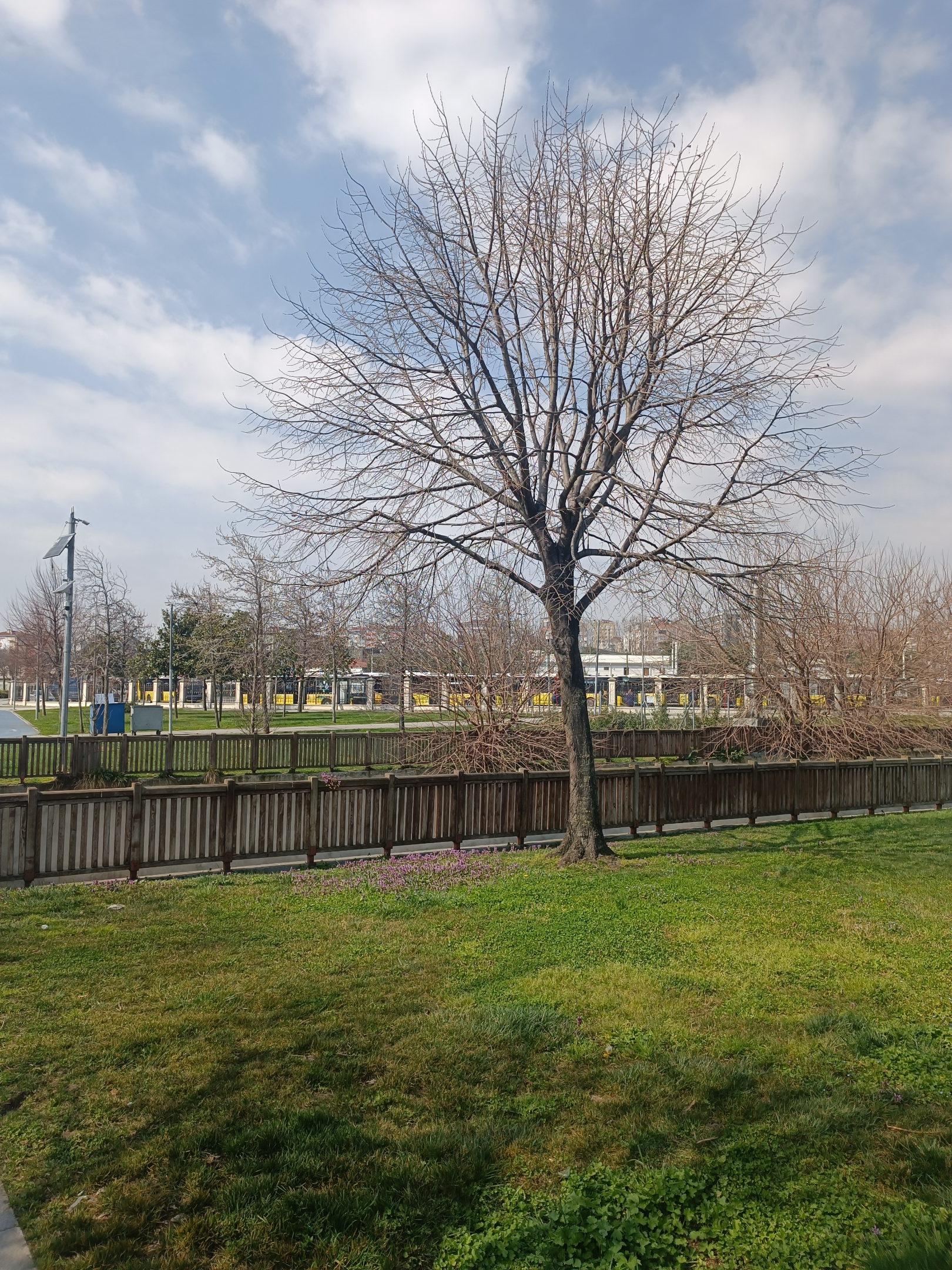 IMG_20260326_143429.webp