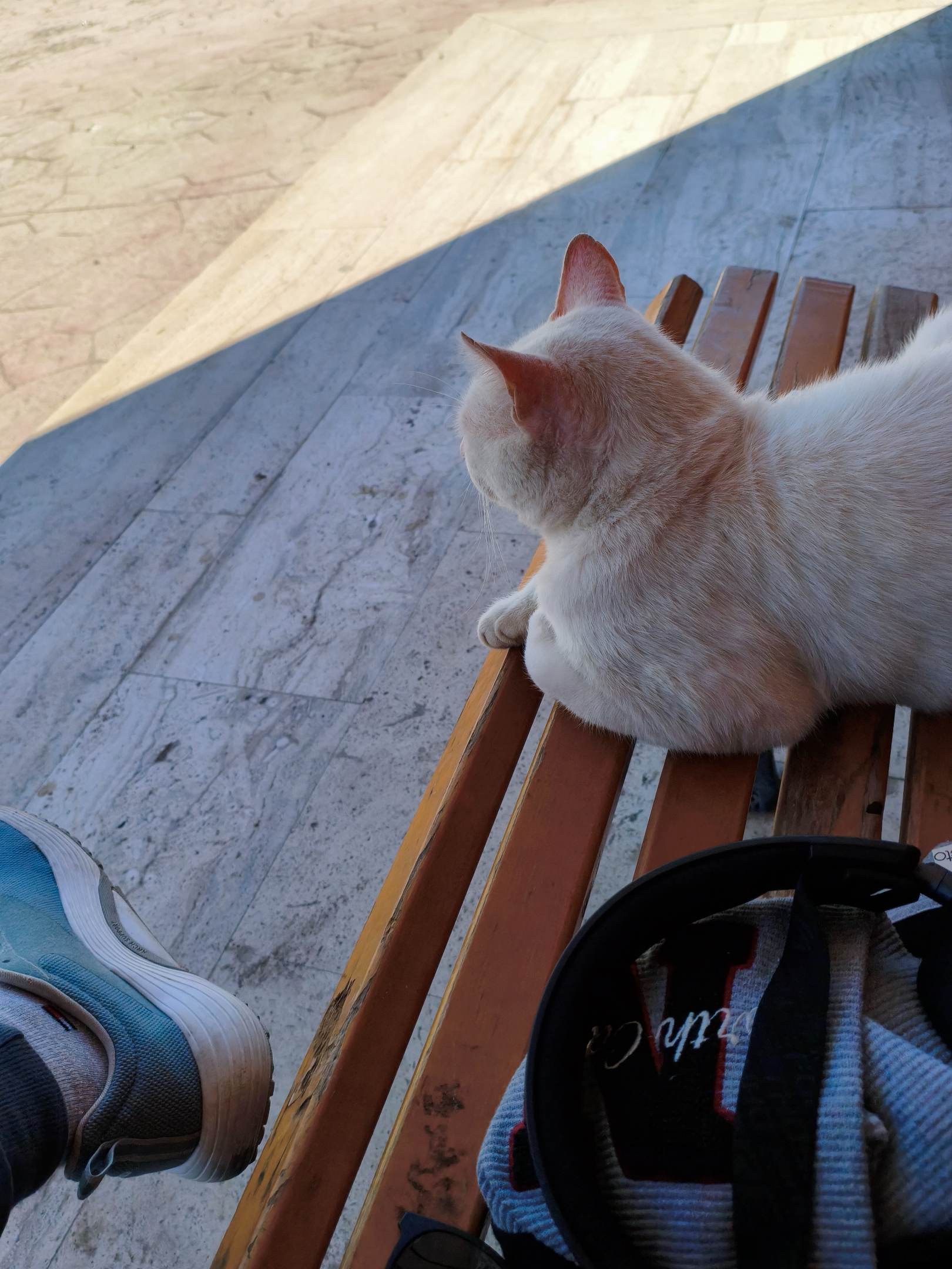 IMG_20260426_151943.webp