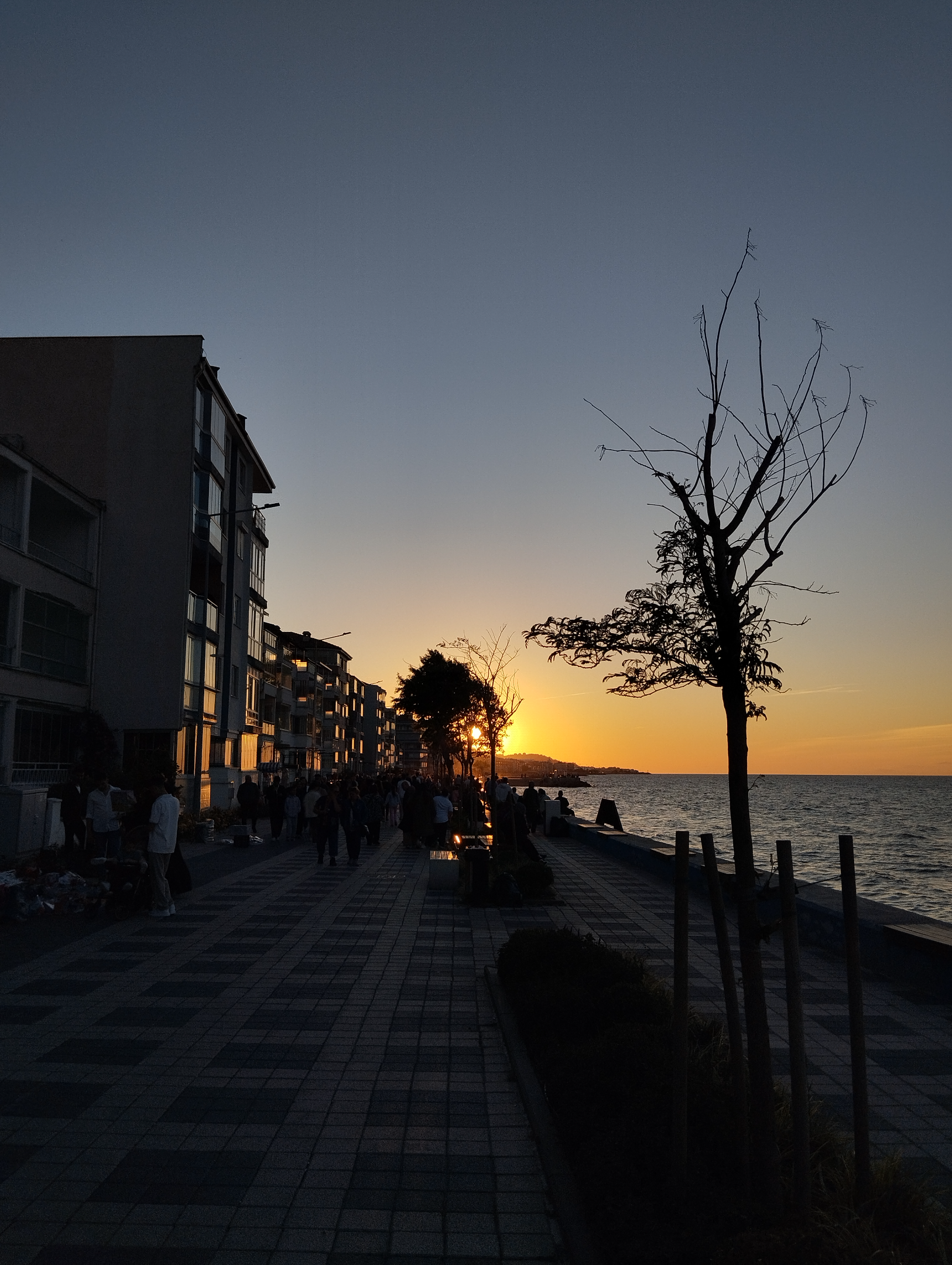 IMG_20260529_201004.webp