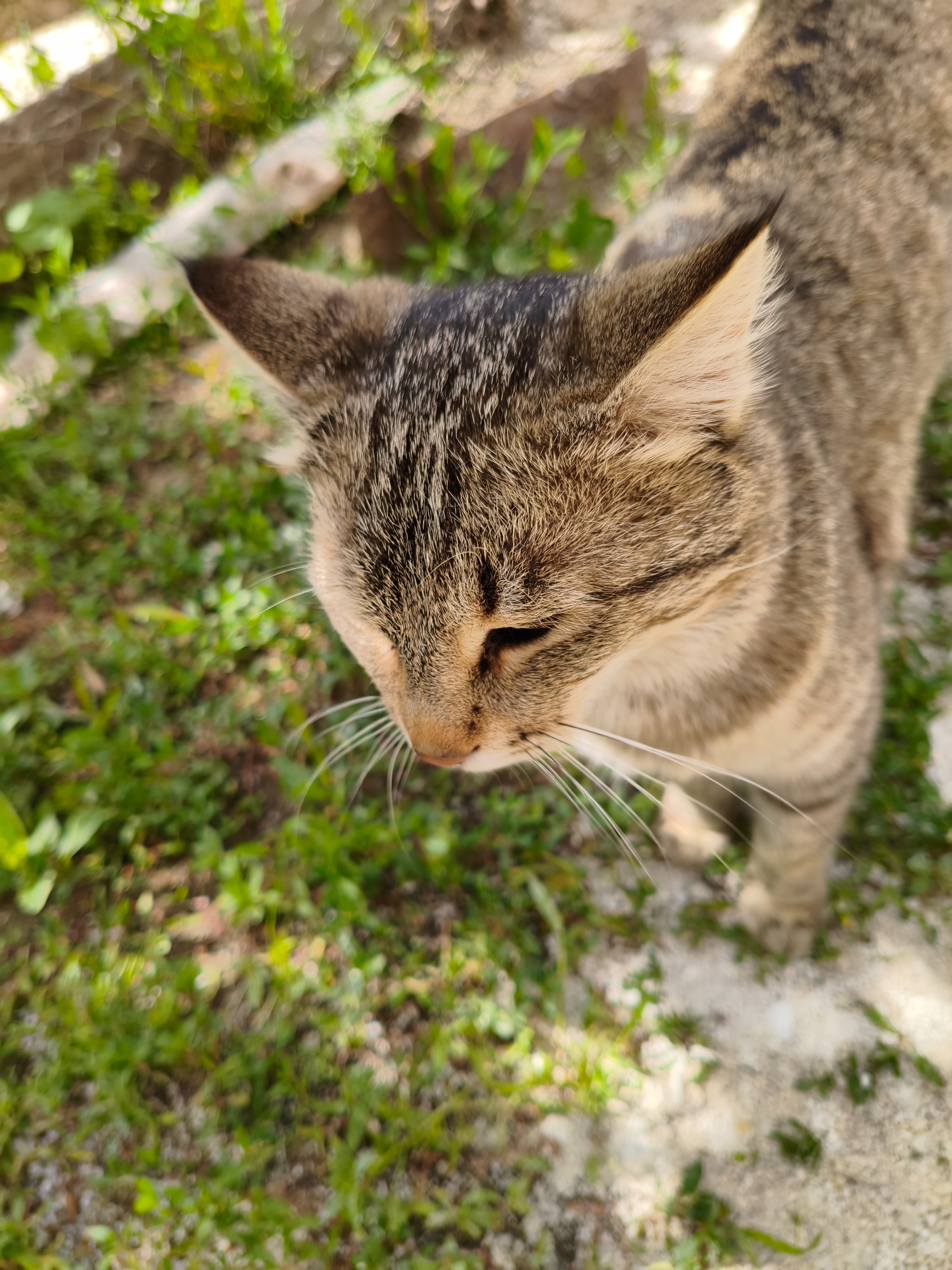IMG_20260531_150709.webp