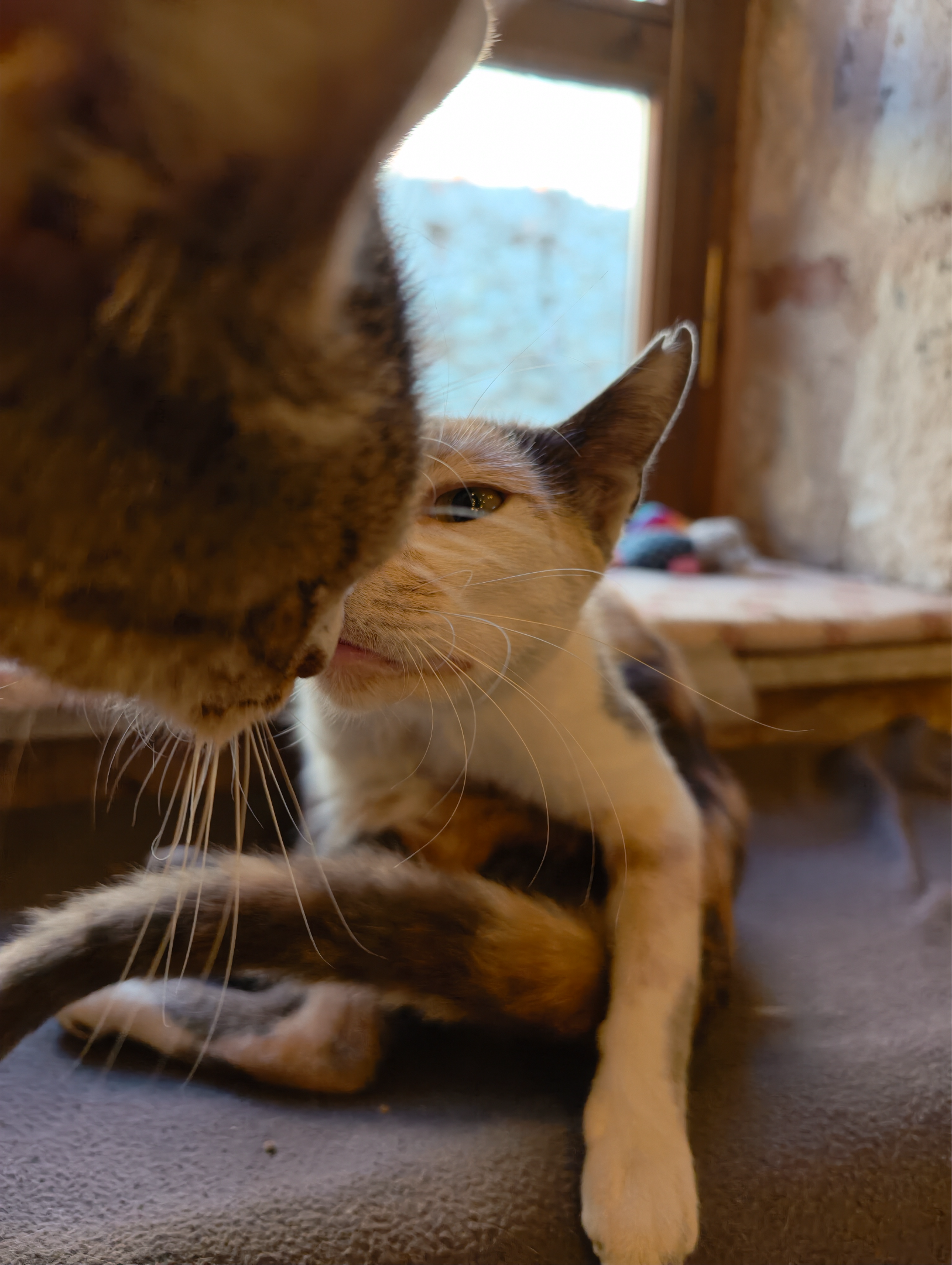 IMG_20260612_085705.webp
