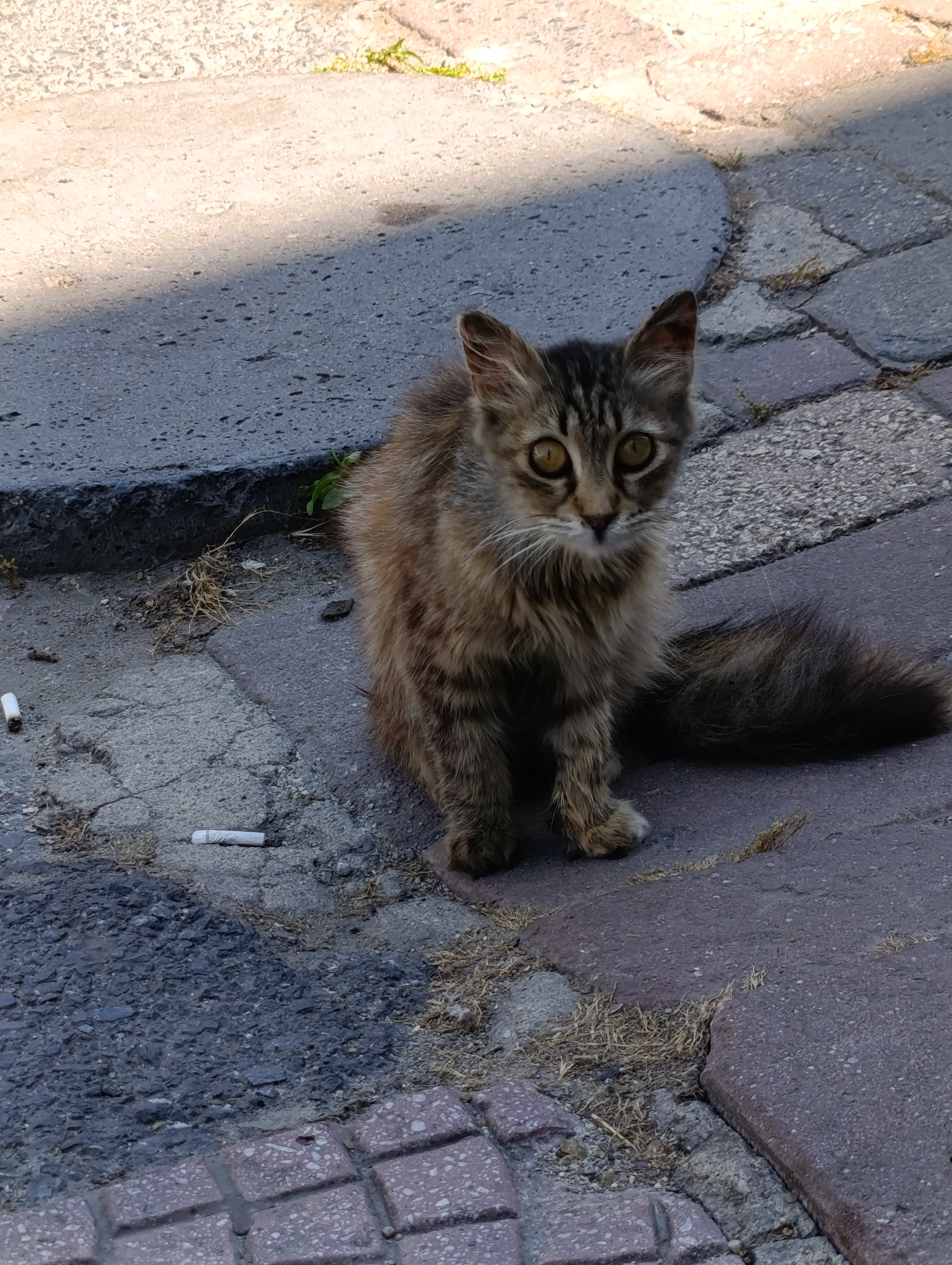 IMG_20260612_144221.webp