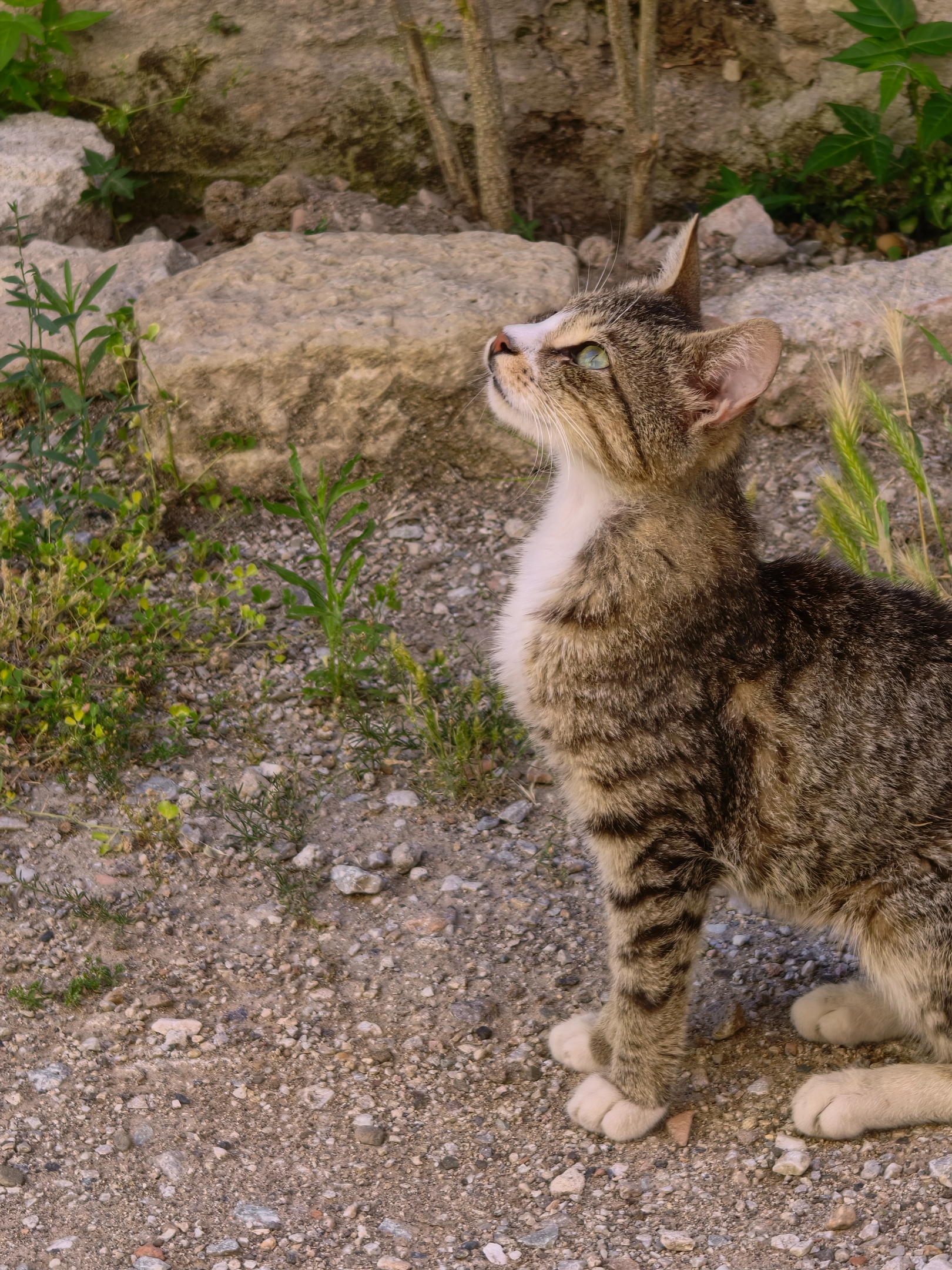 IMG_20260615_160321.webp