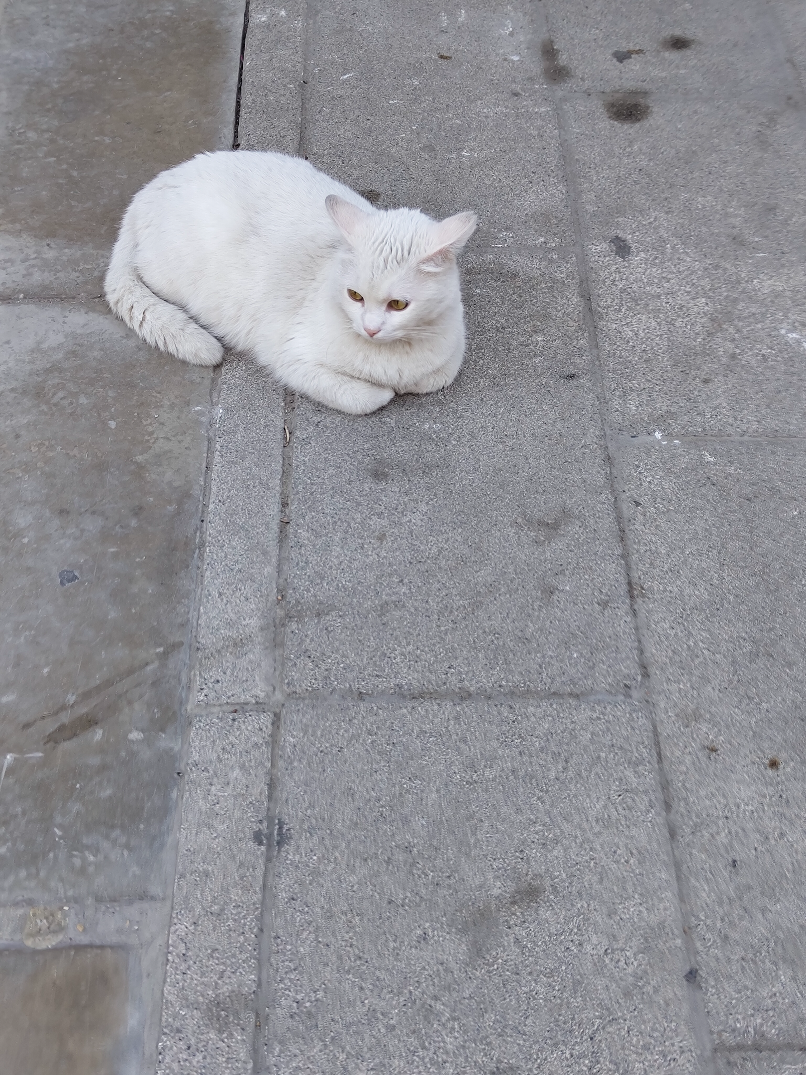 IMG_20260616_182520770.webp