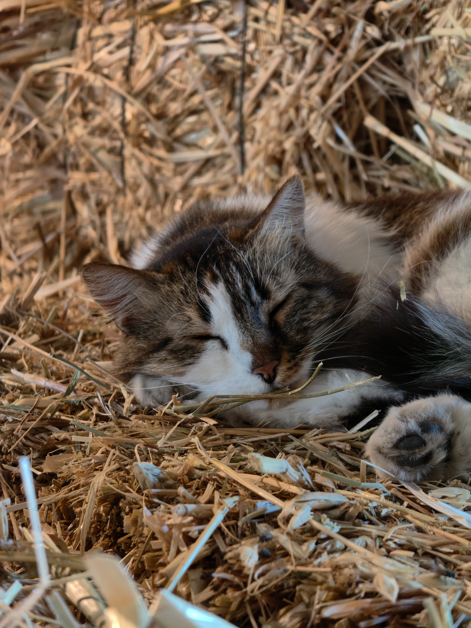 IMG_20260620_172048.webp