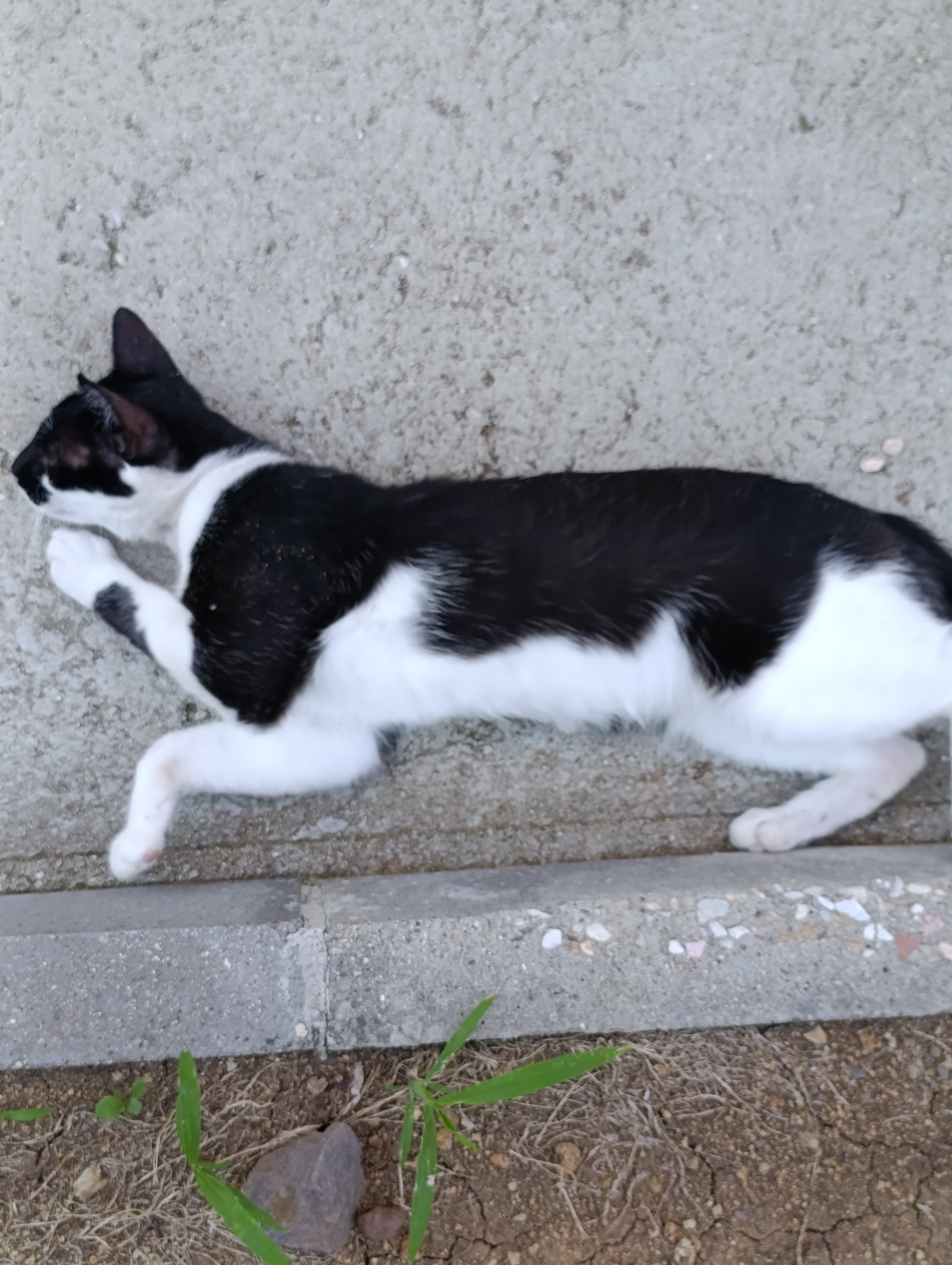 IMG_20260729_191759.webp