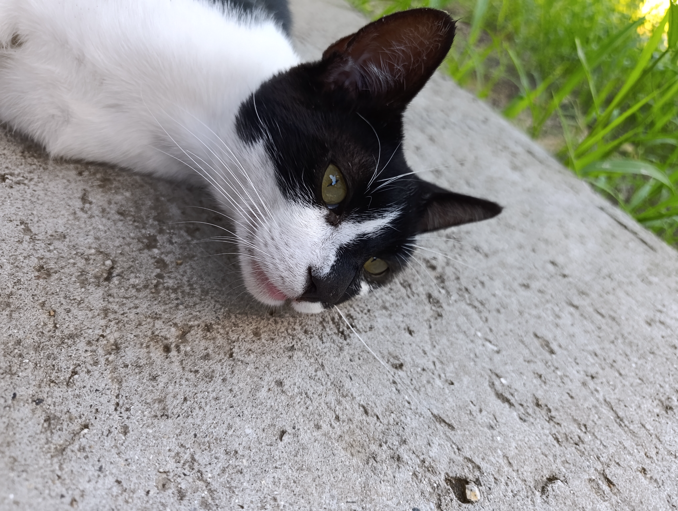 IMG_20260729_192350.webp