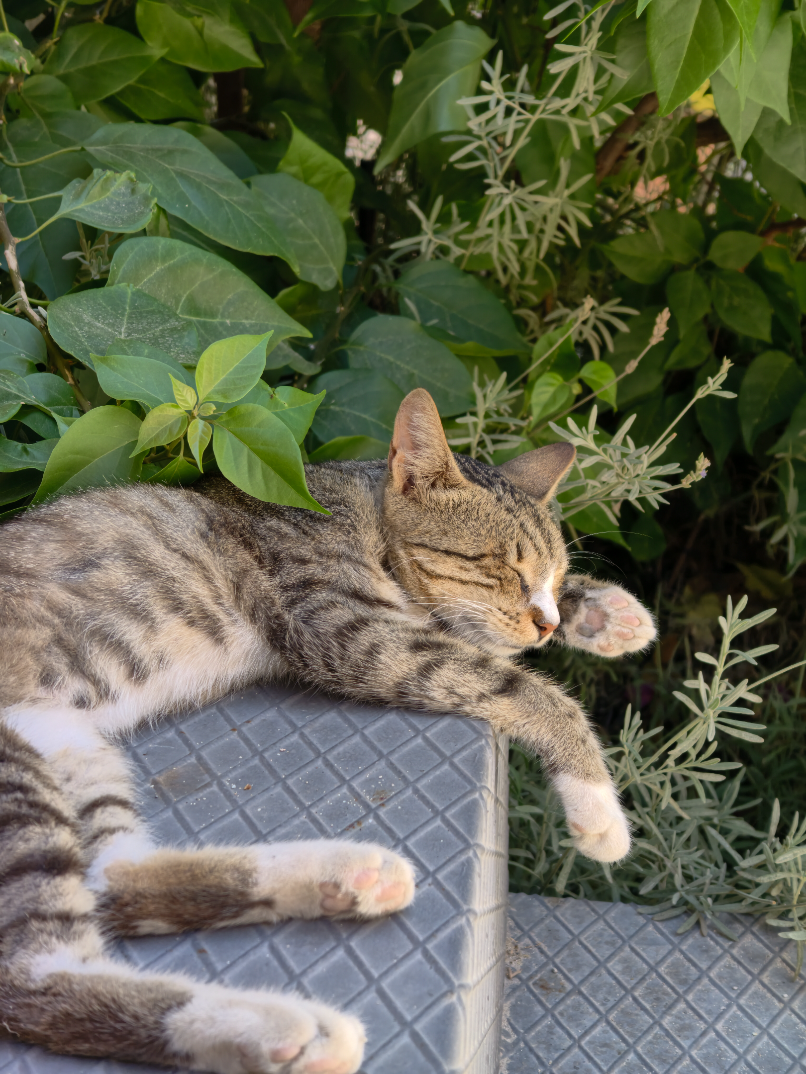 IMG_20260803_125504.webp