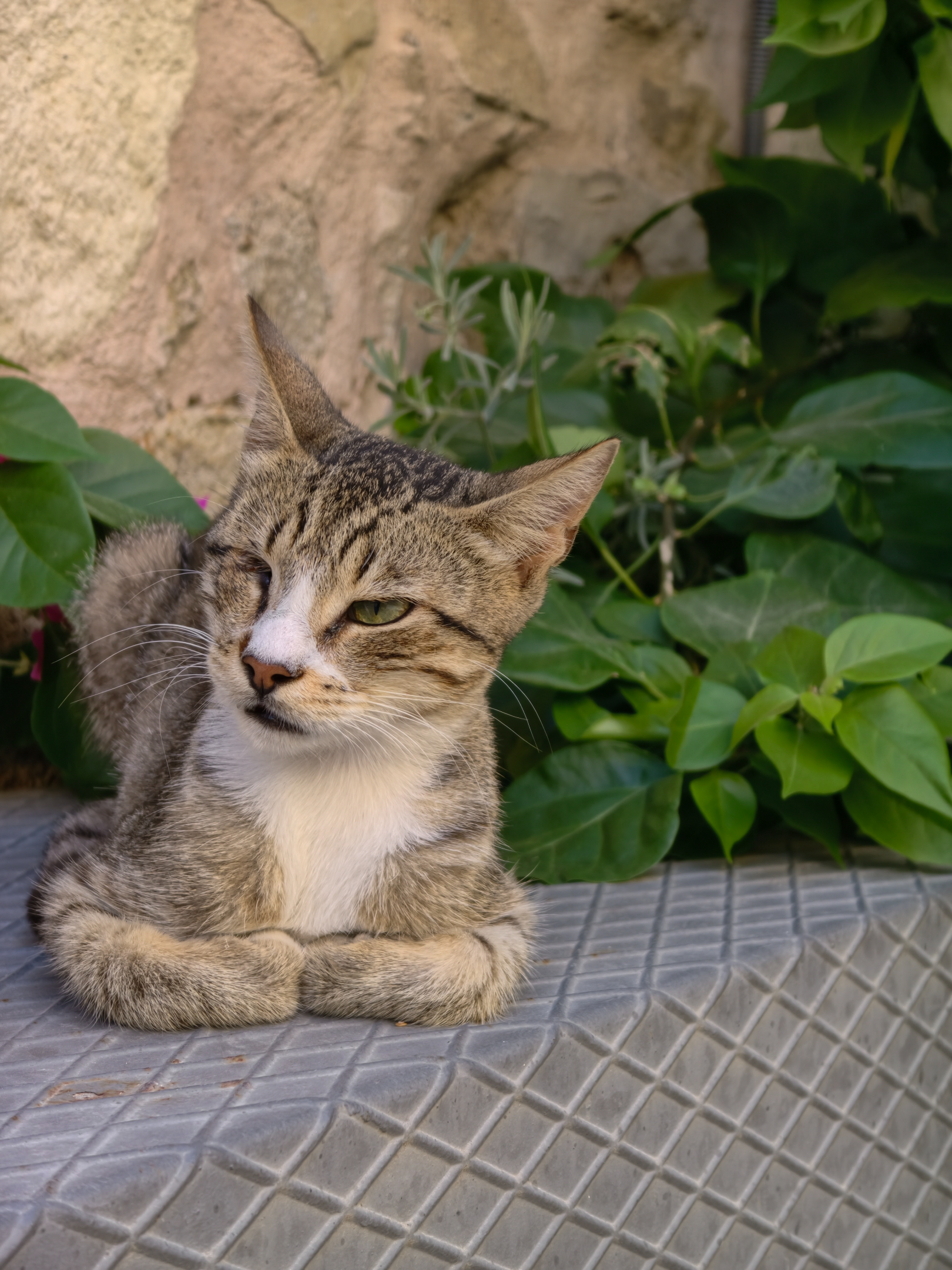IMG_20260805_095152.webp