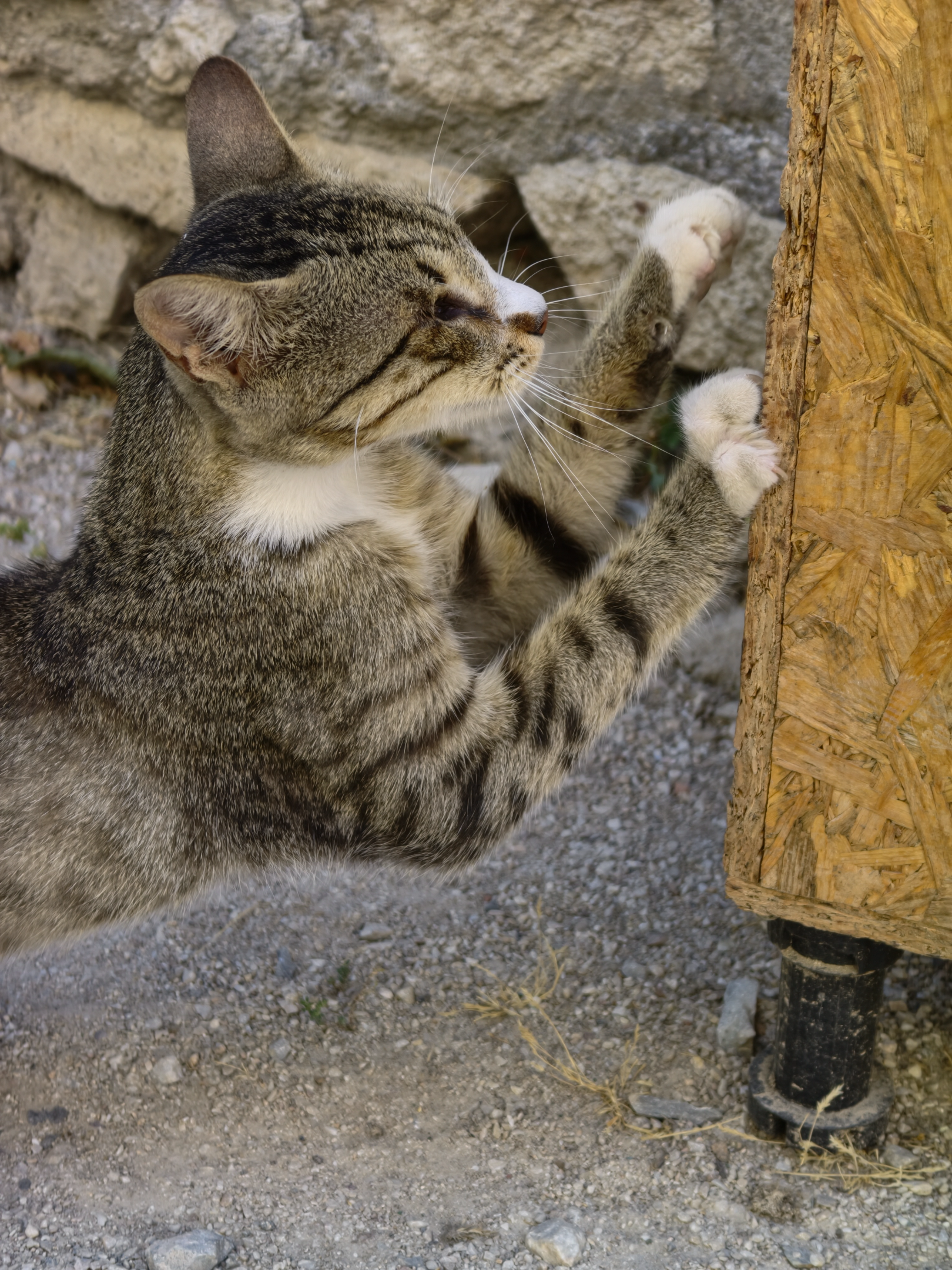 IMG_20260805_155610.webp