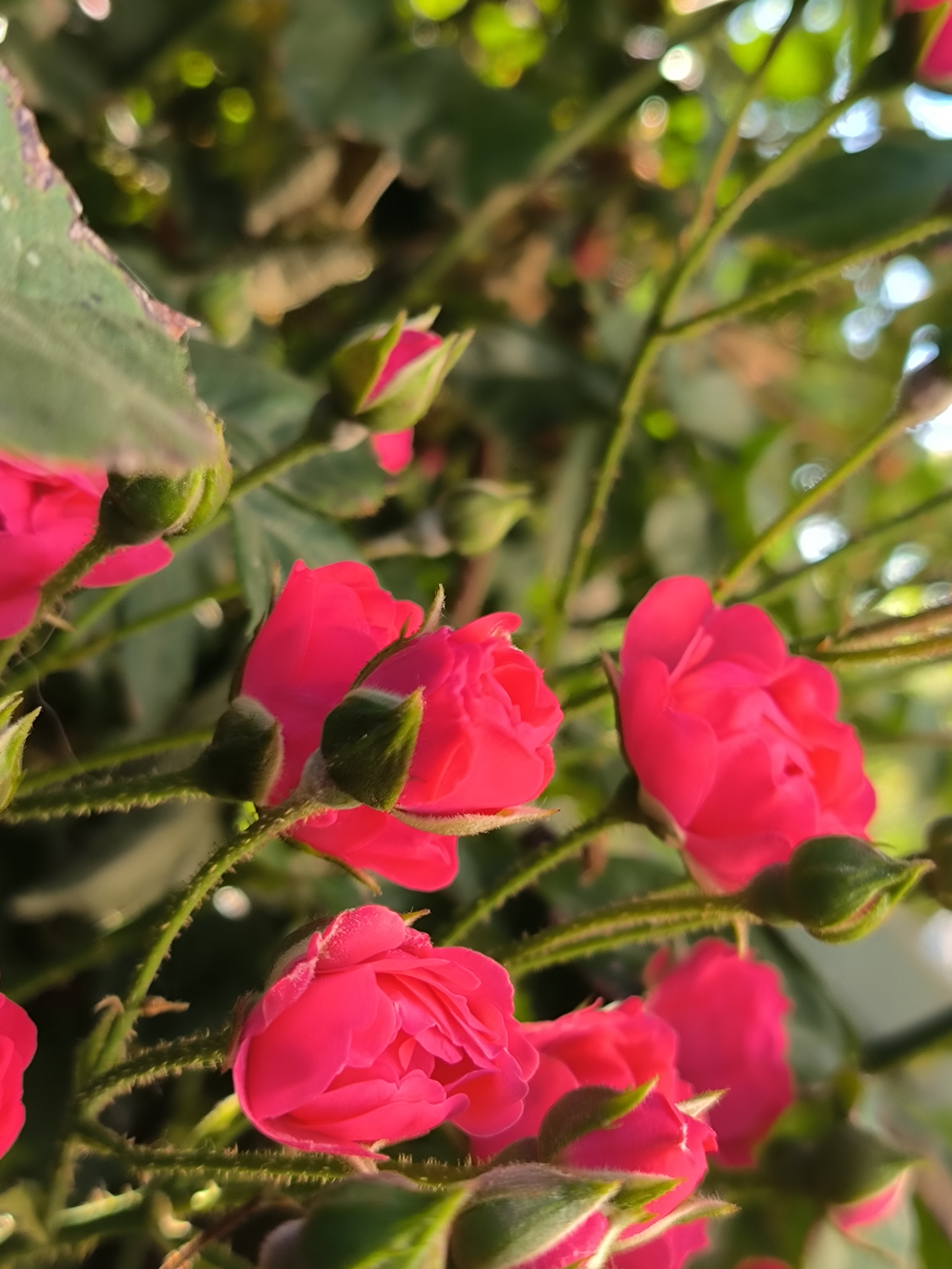 IMG_20260820_083947.webp