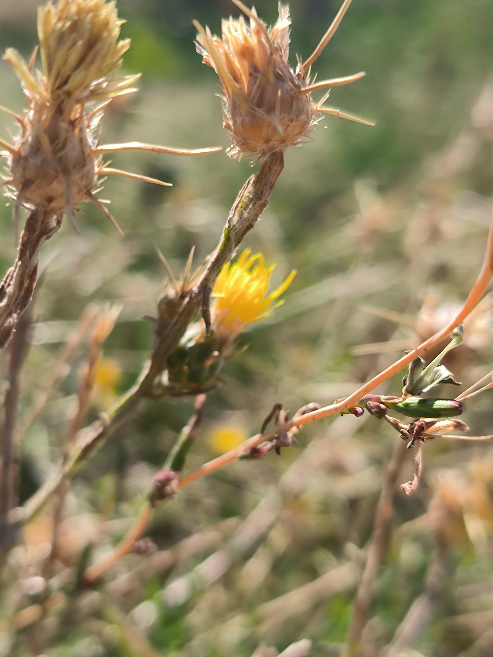 IMG_20260821_104426.webp