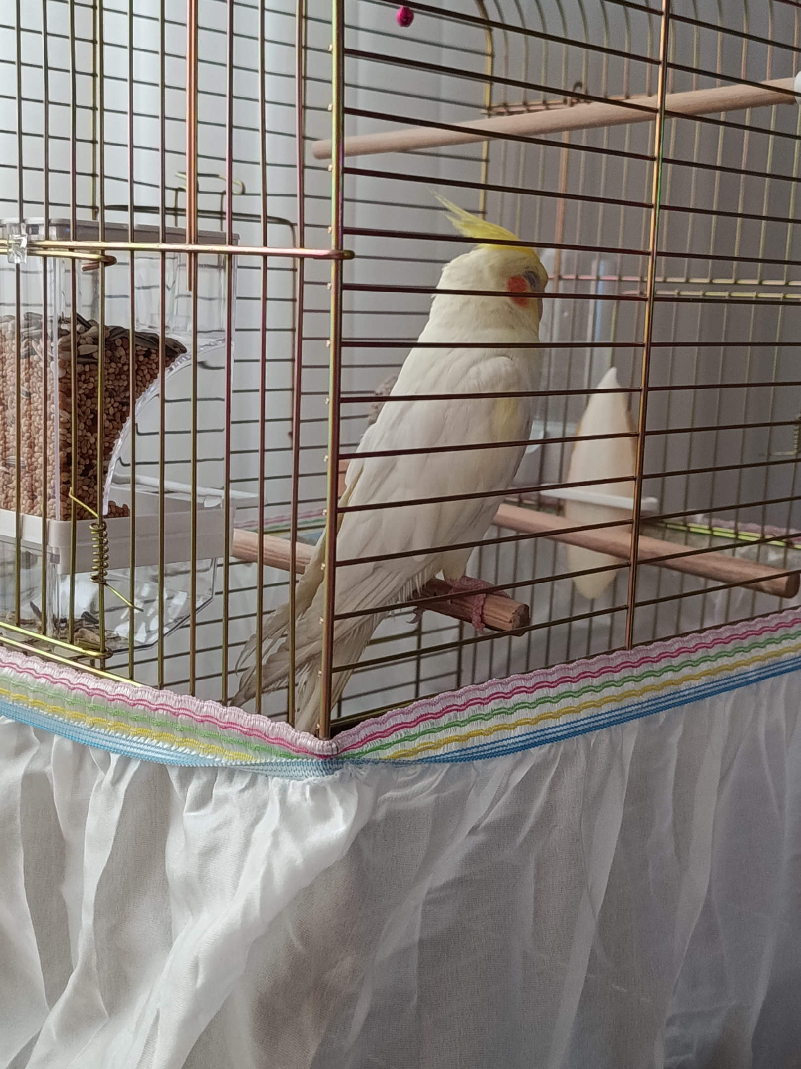 IMG_20260823_191510.webp
