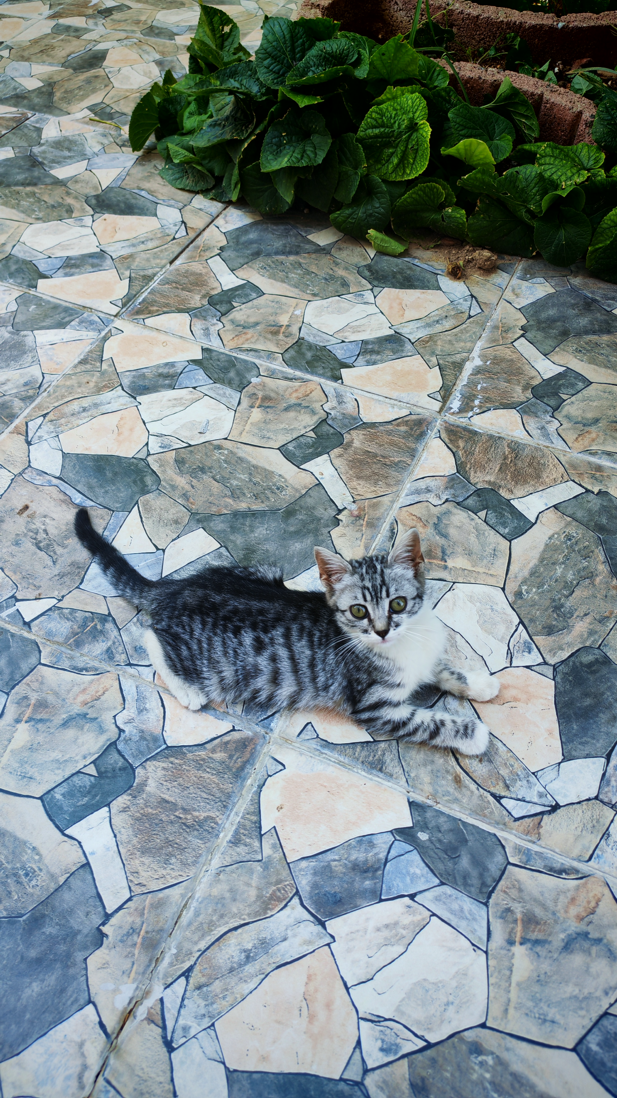 IMG_20260824_114406.webp