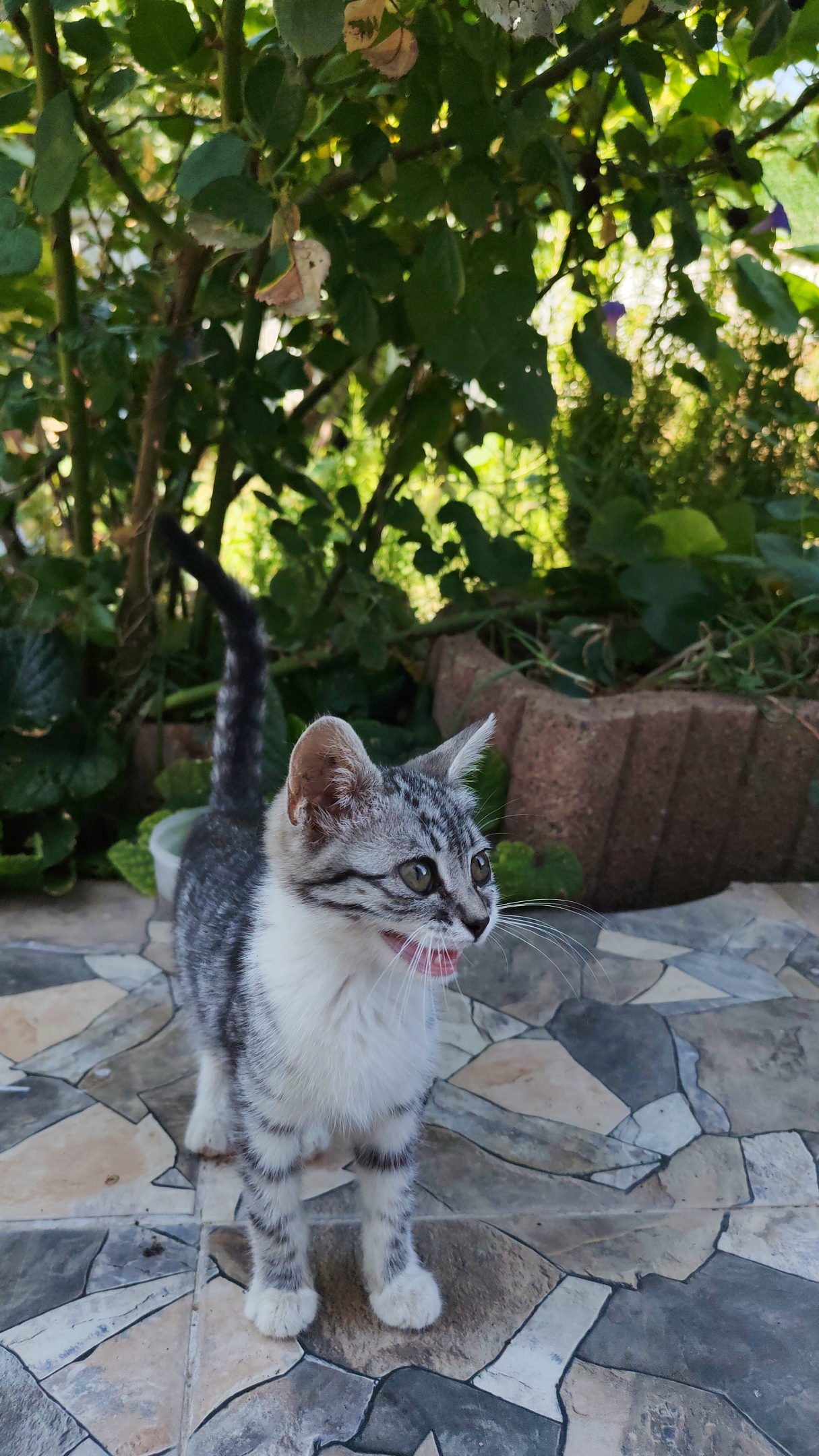IMG_20260824_114425.webp