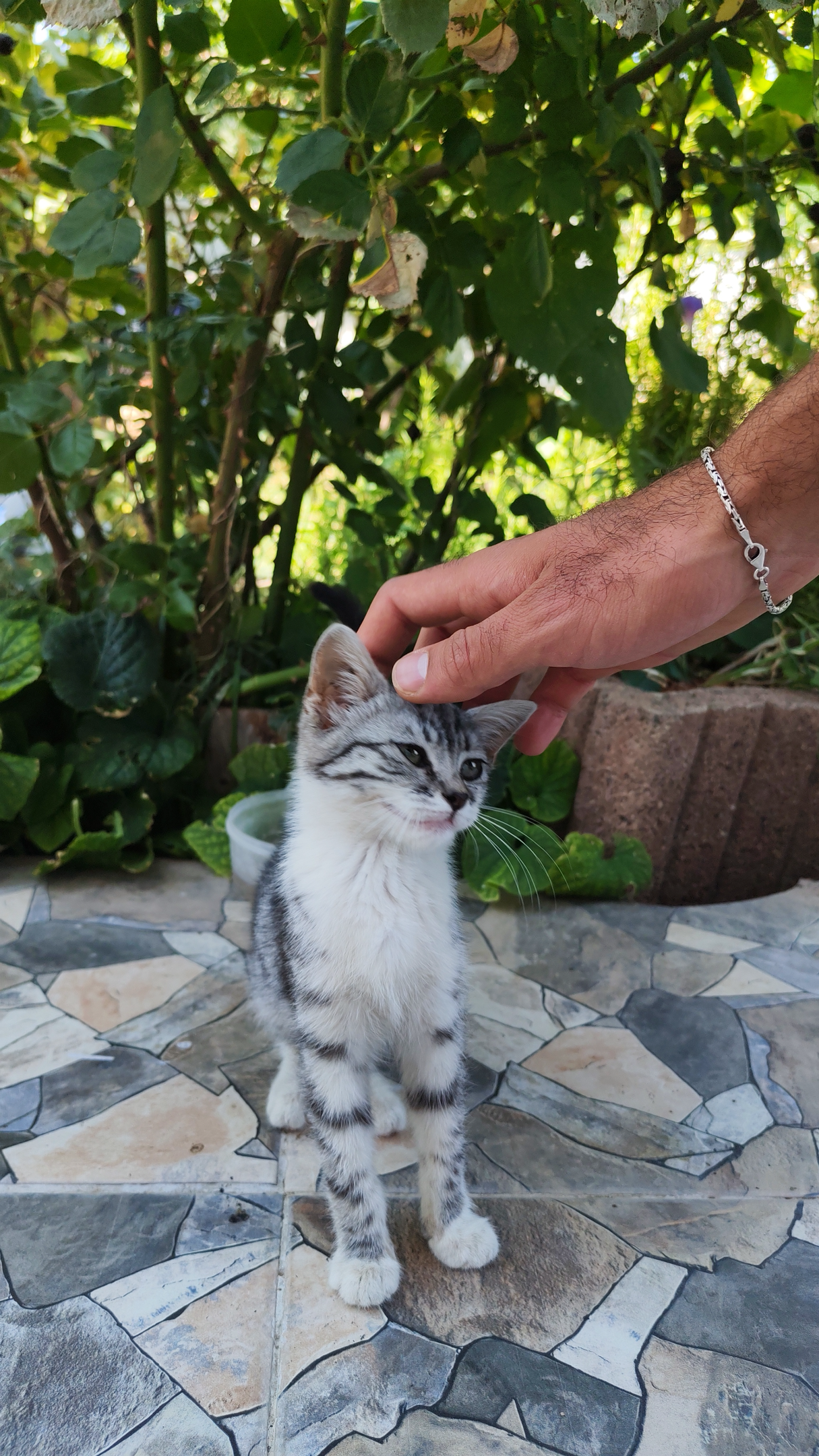 IMG_20260824_114427.webp
