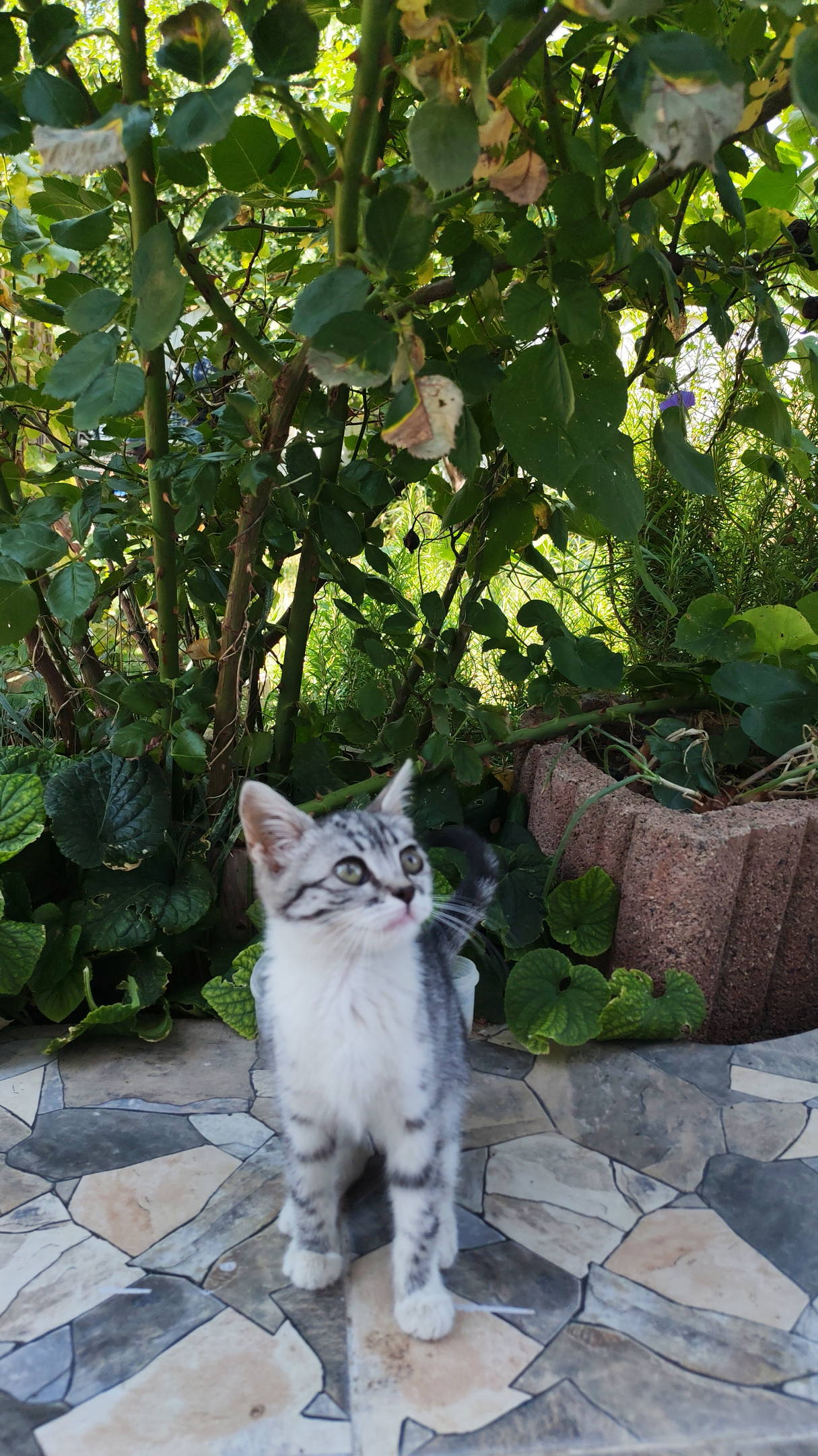 IMG_20260824_114430.webp