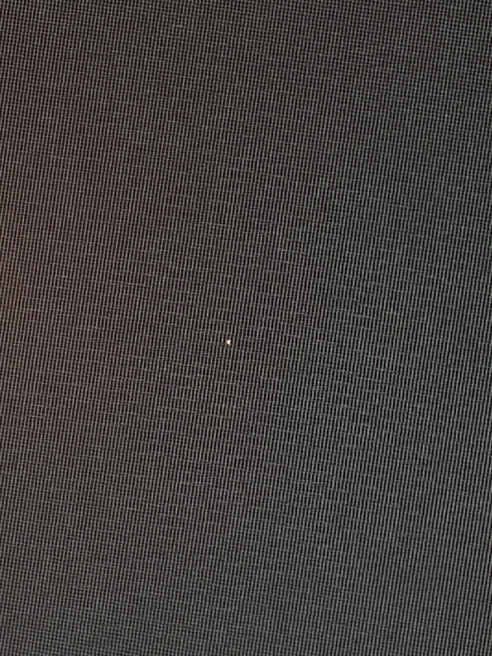 IMG_2243.webp