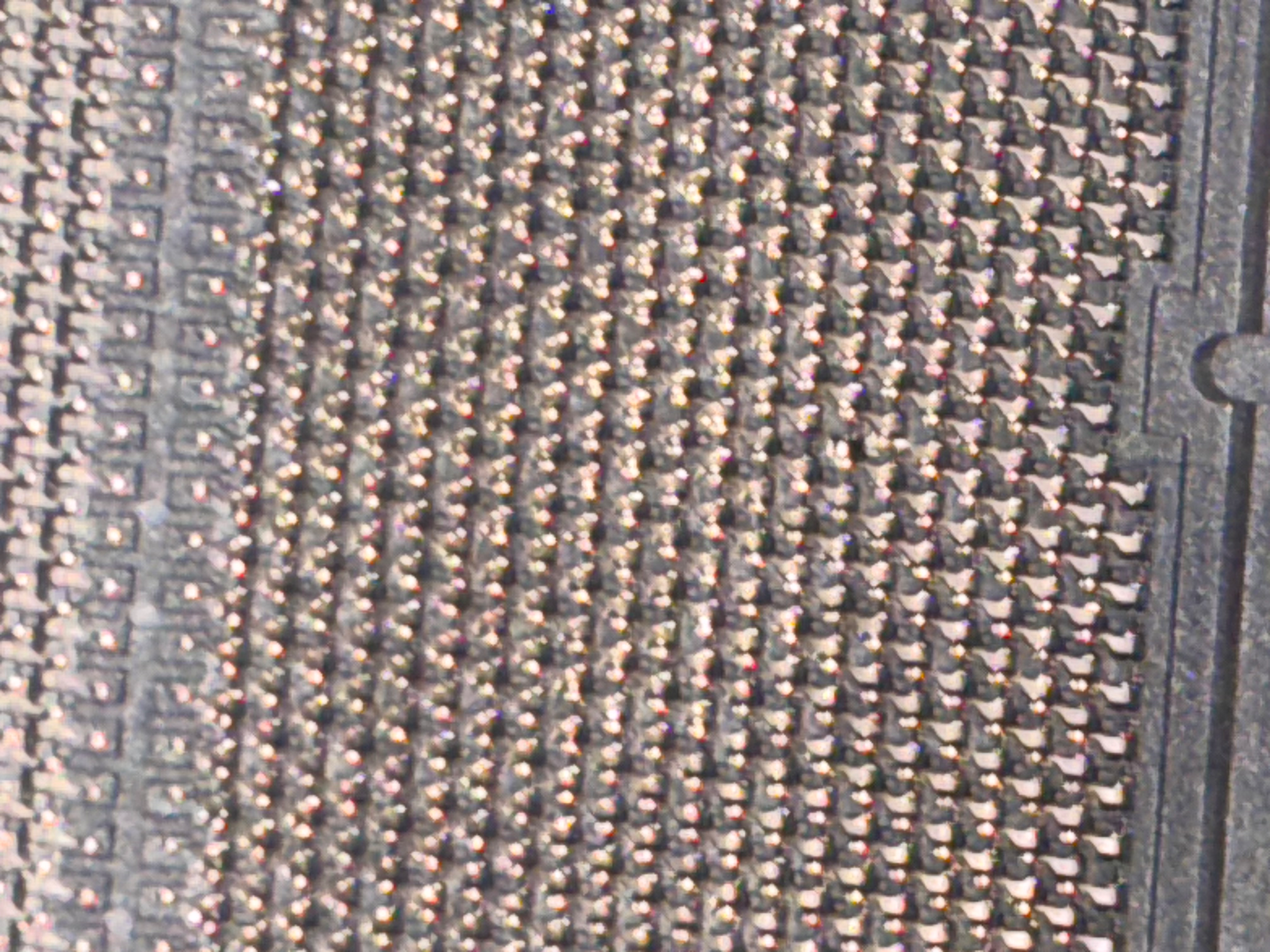 IMG_2420.webp