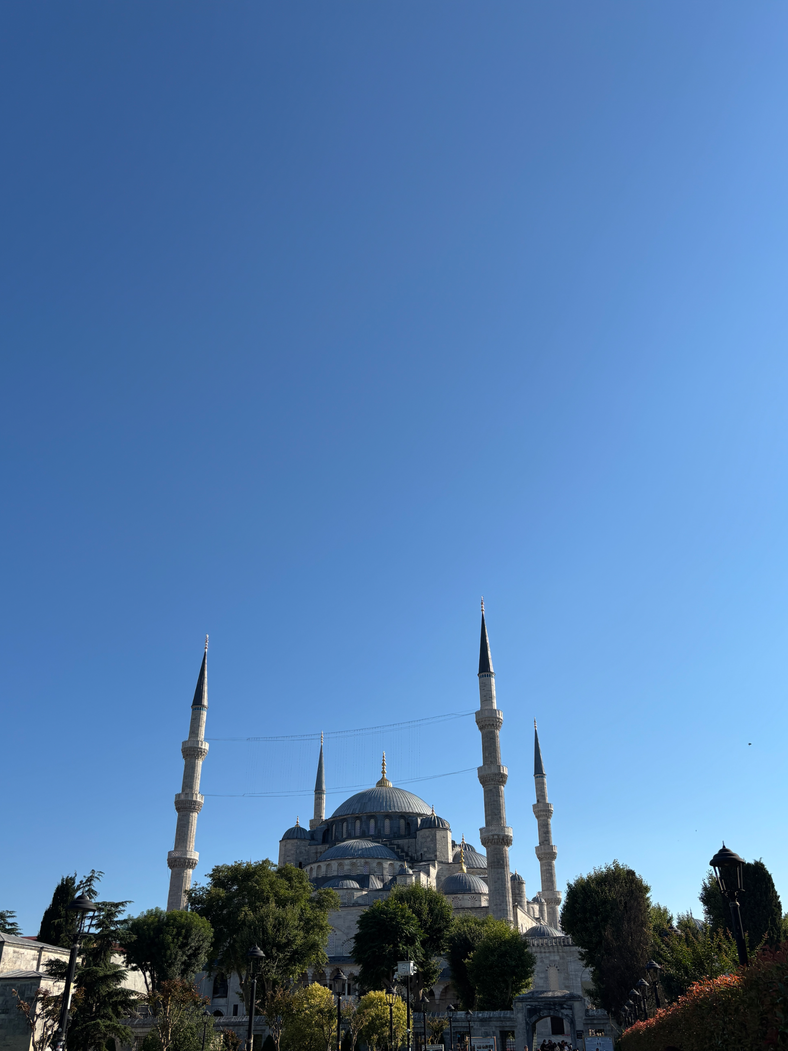 IMG_2678.webp