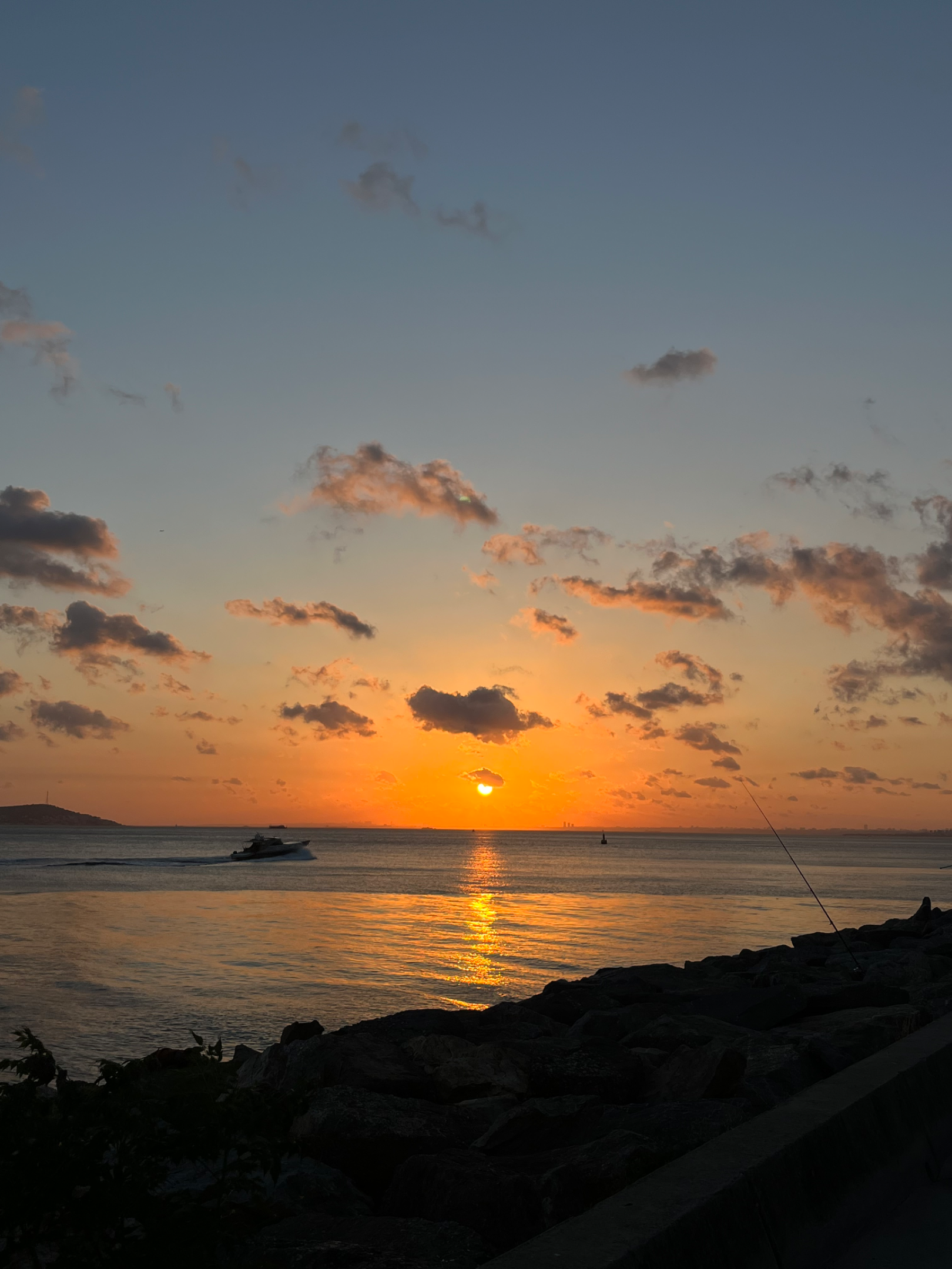 IMG_3091.webp