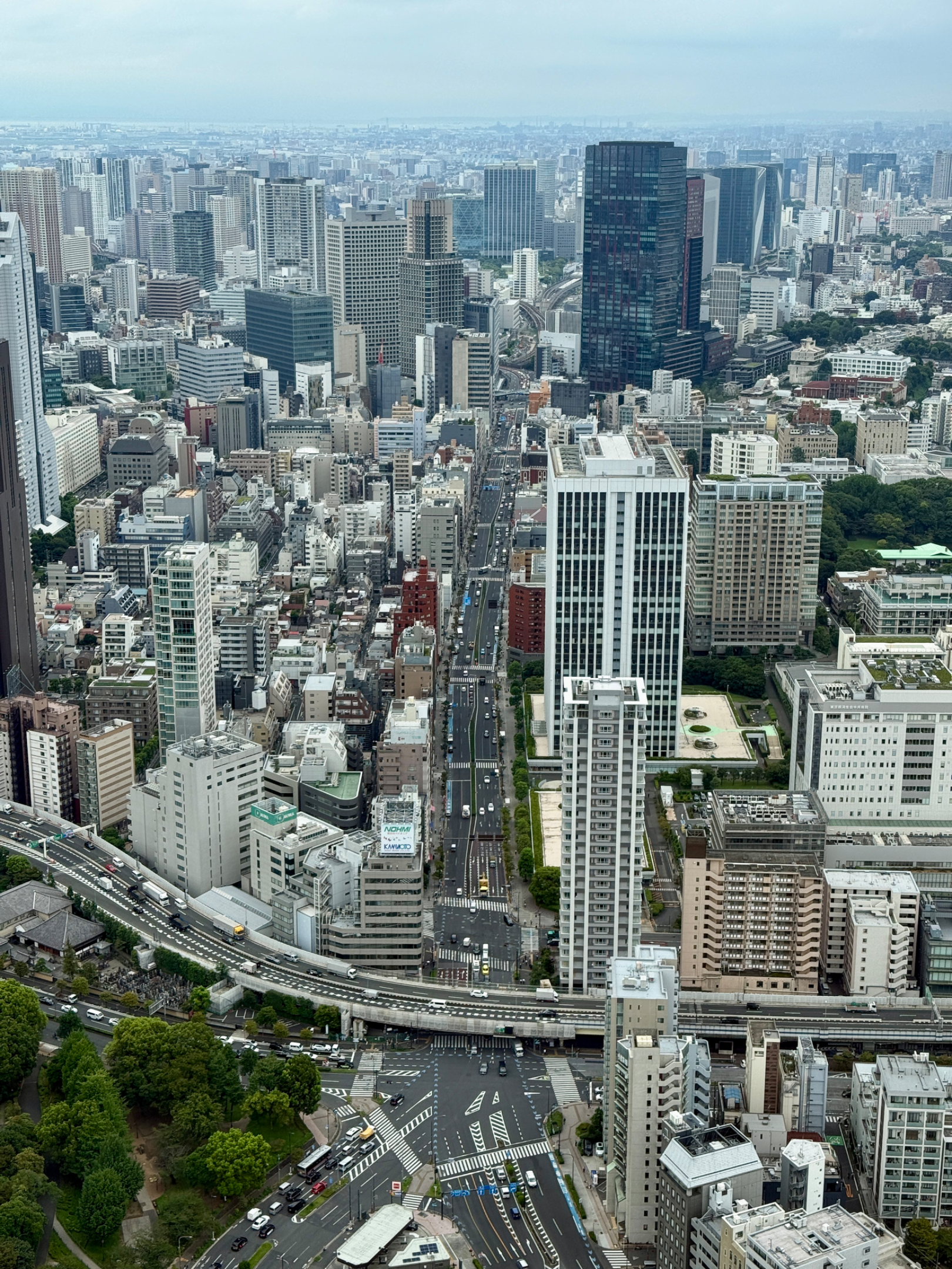 IMG_3231.webp