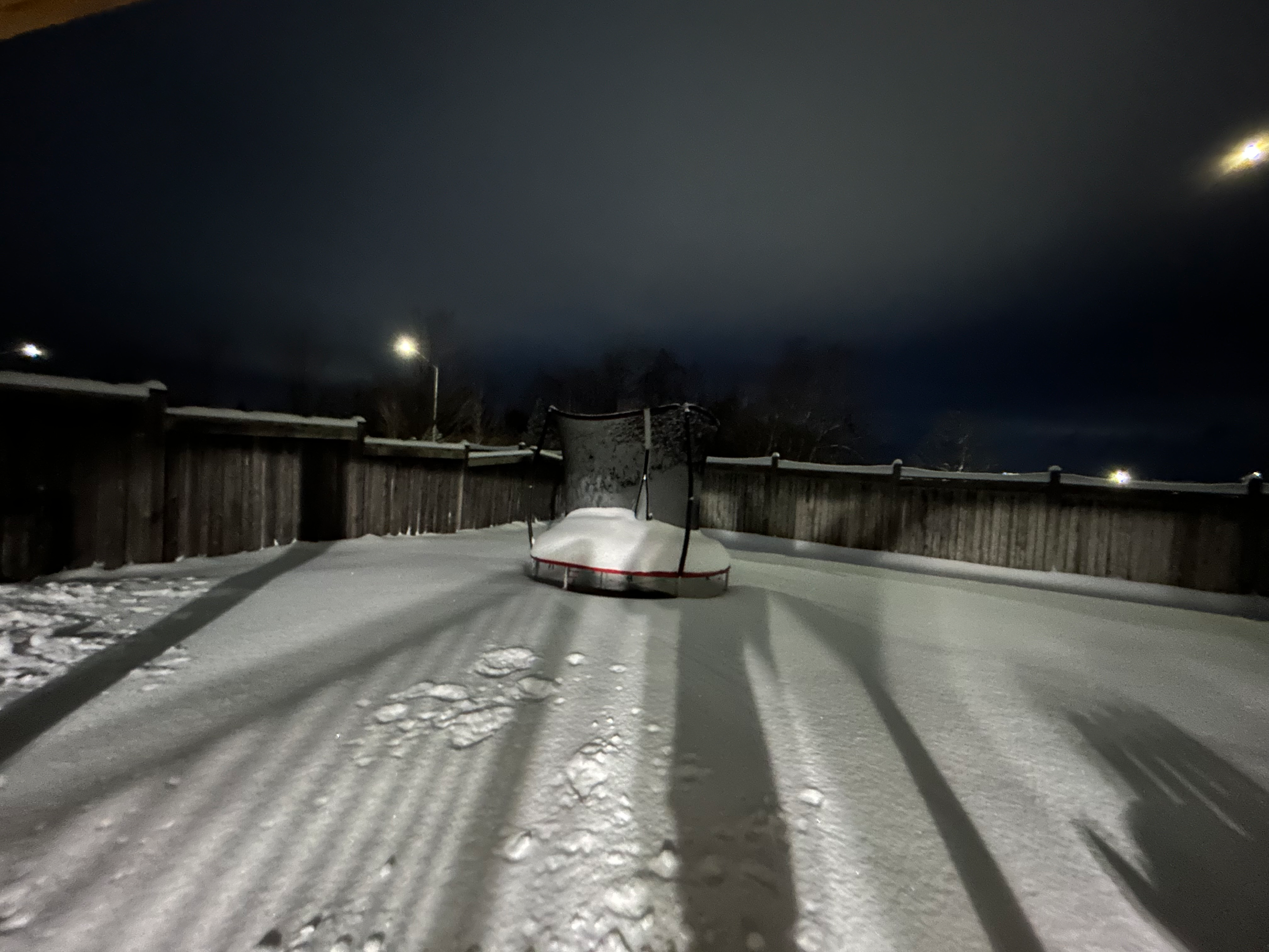 IMG_3323.webp