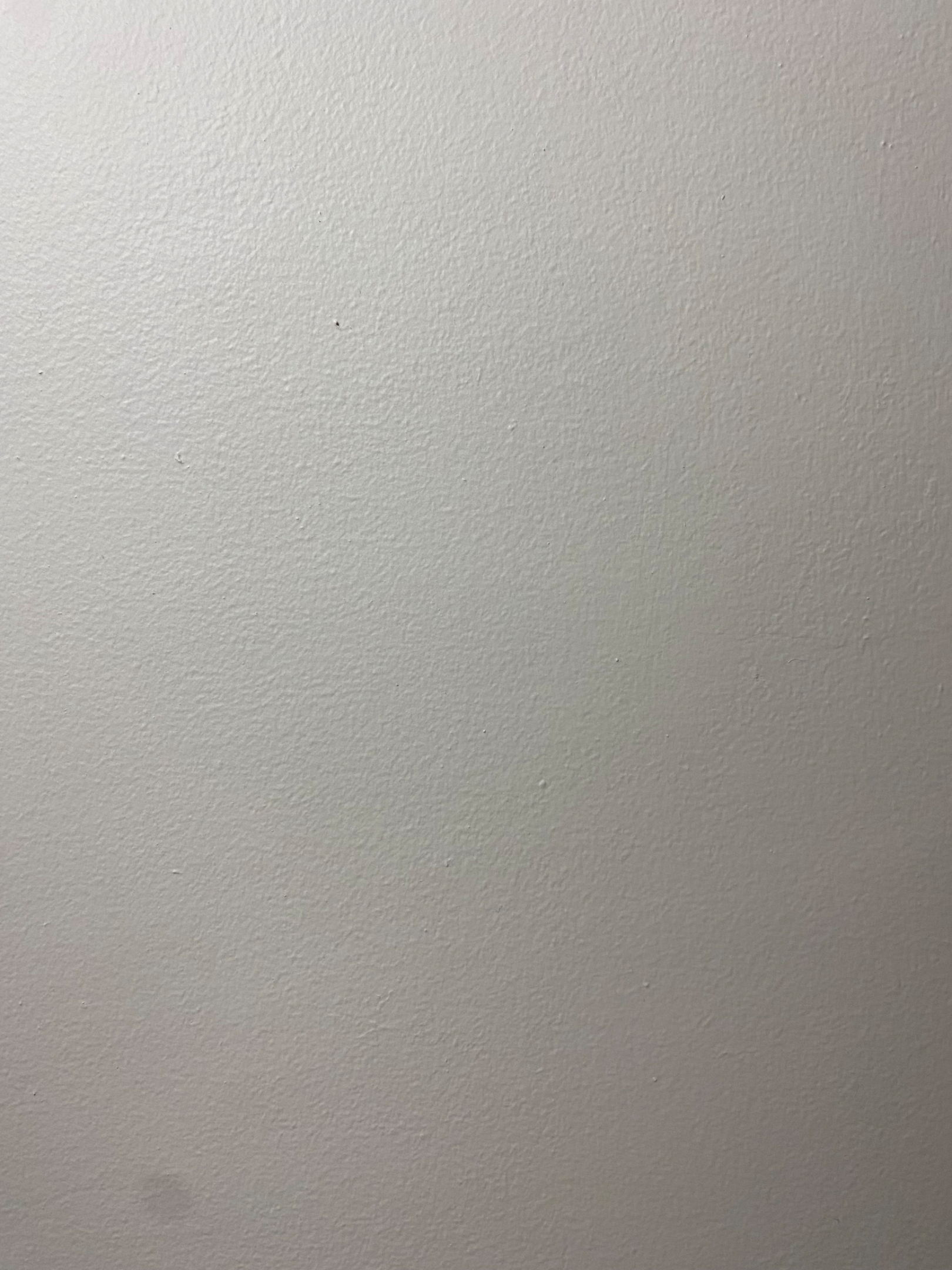 IMG_3834.webp