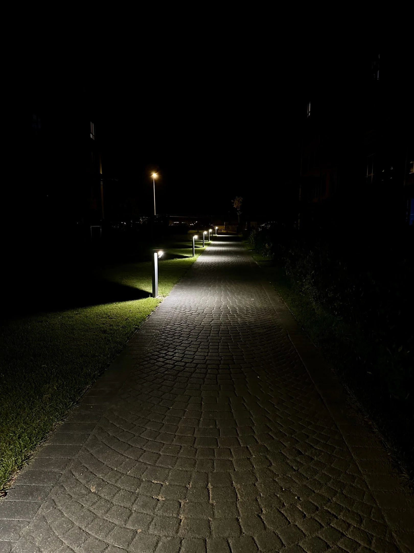 IMG_5341.webp