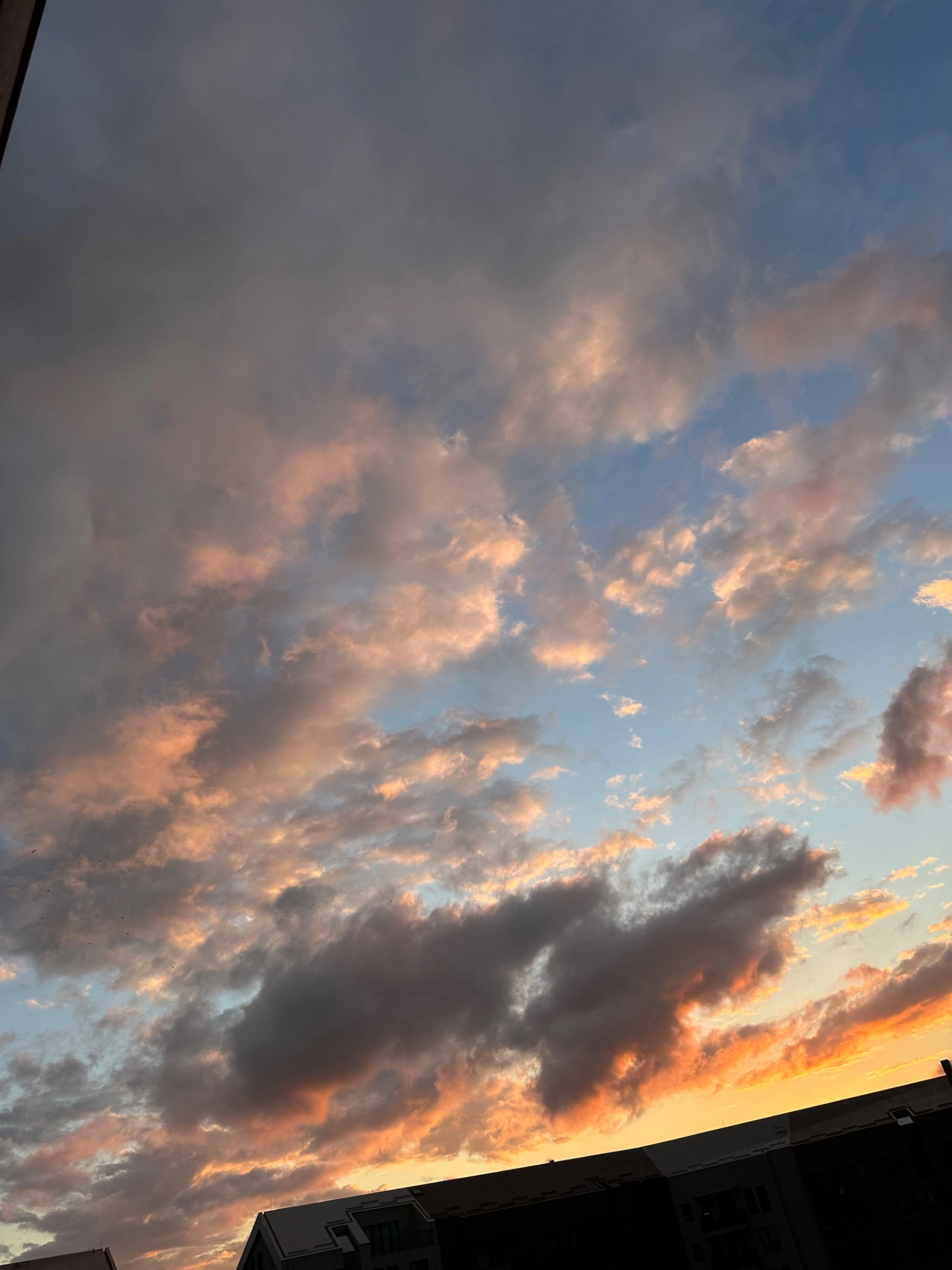 IMG_6622.webp