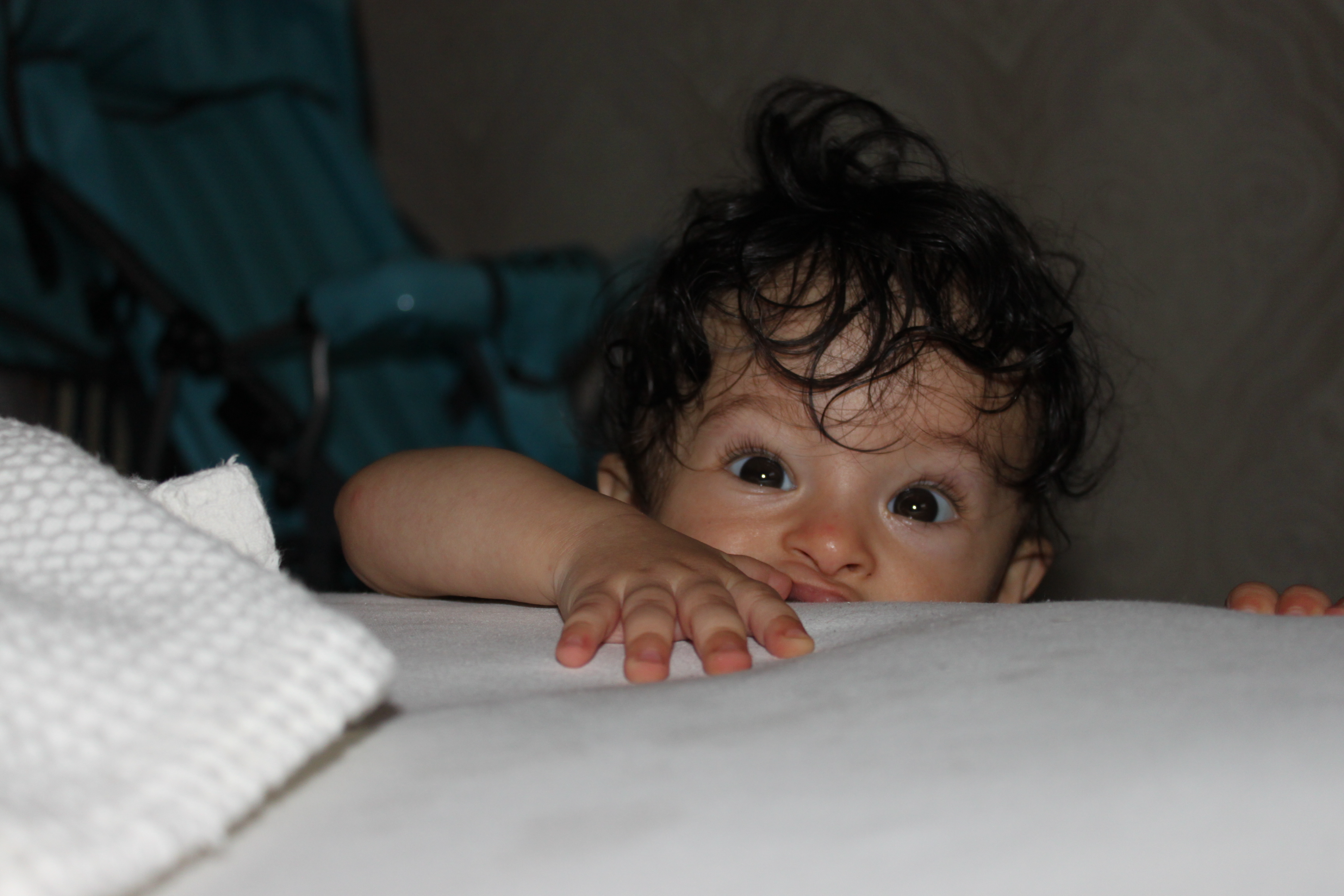 IMG_7194.webp