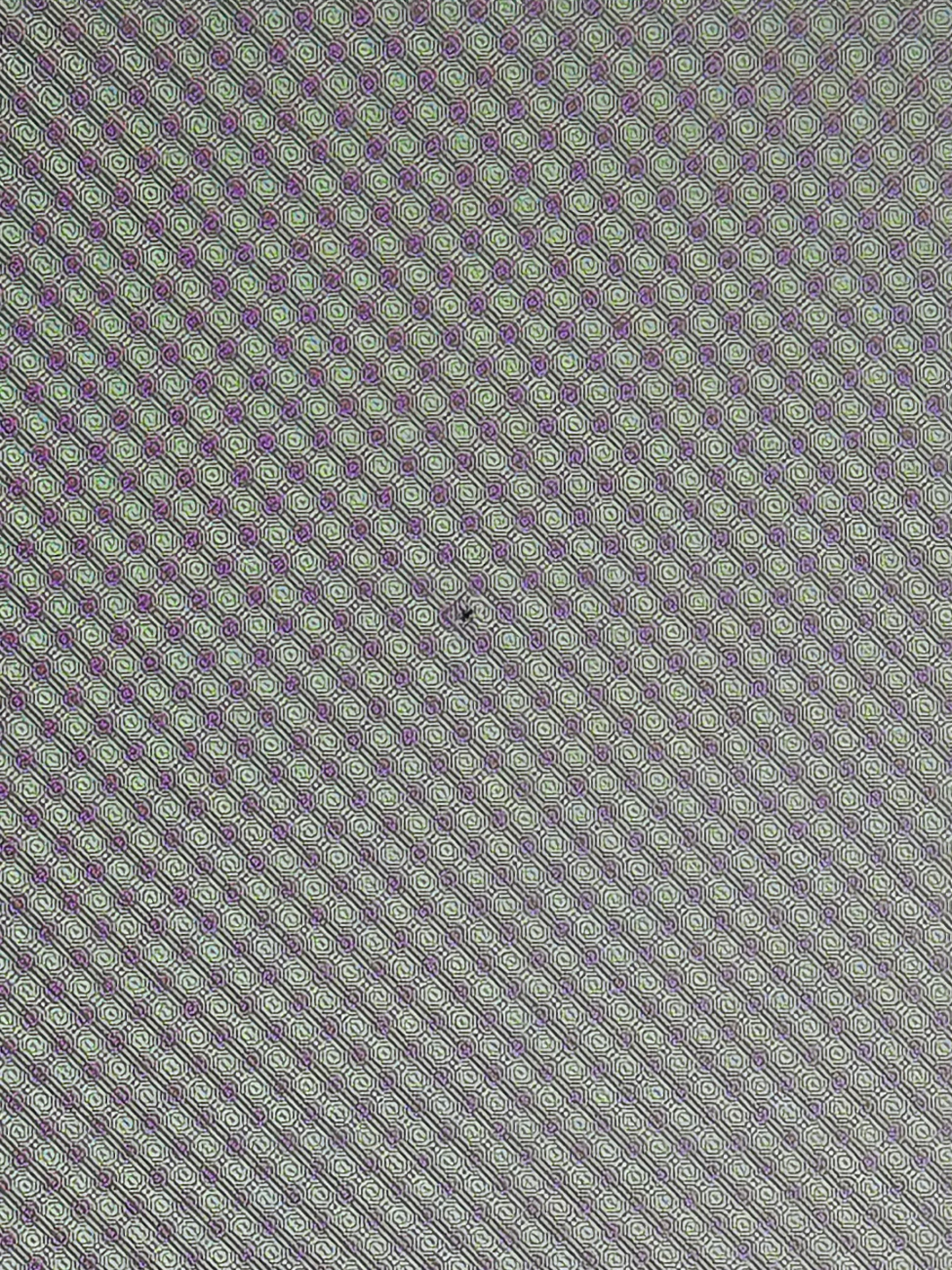 IMG_7385.webp