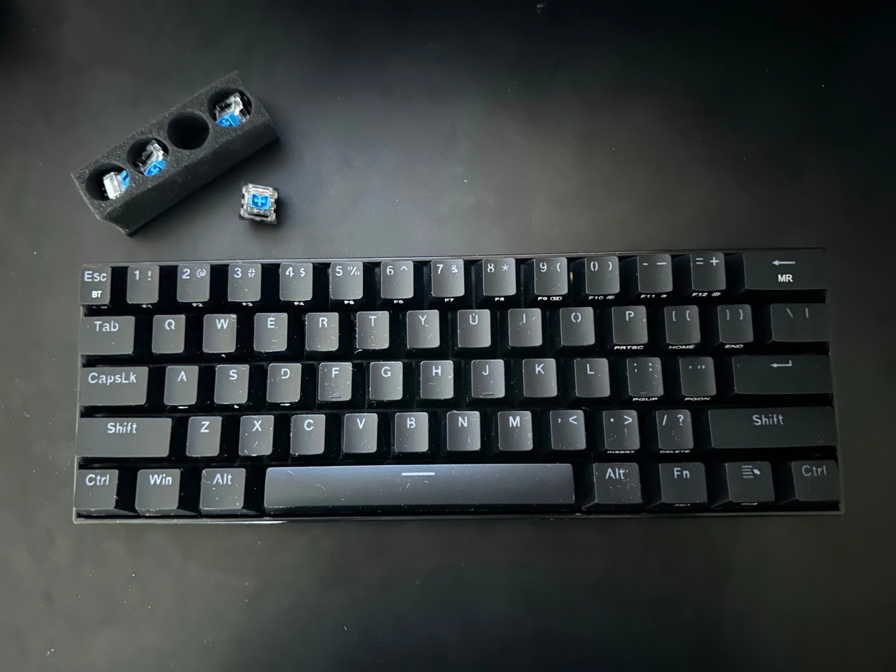 IMG_7921.webp