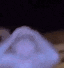 IMG_9948.gif