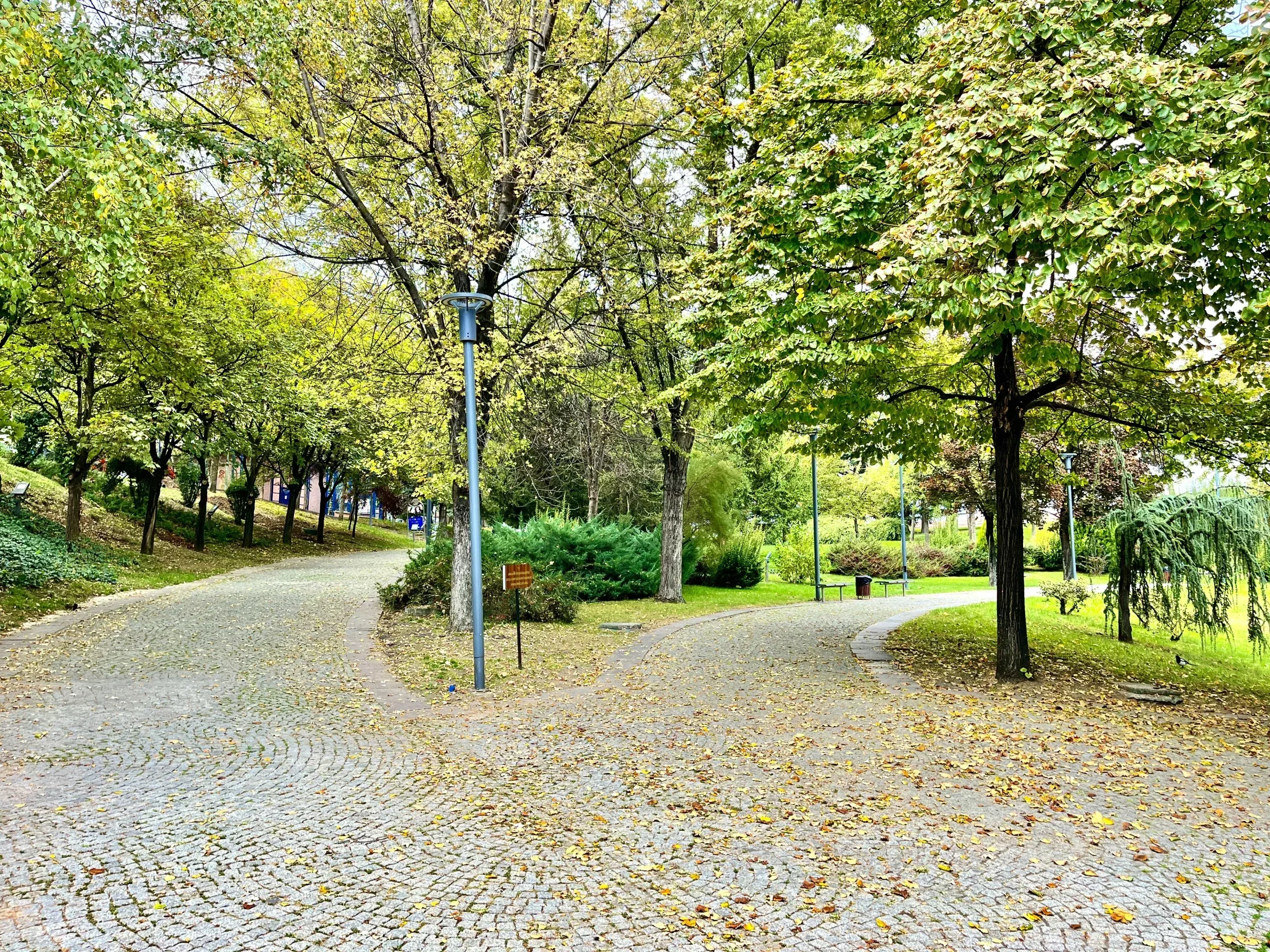 IMG_9995.webp