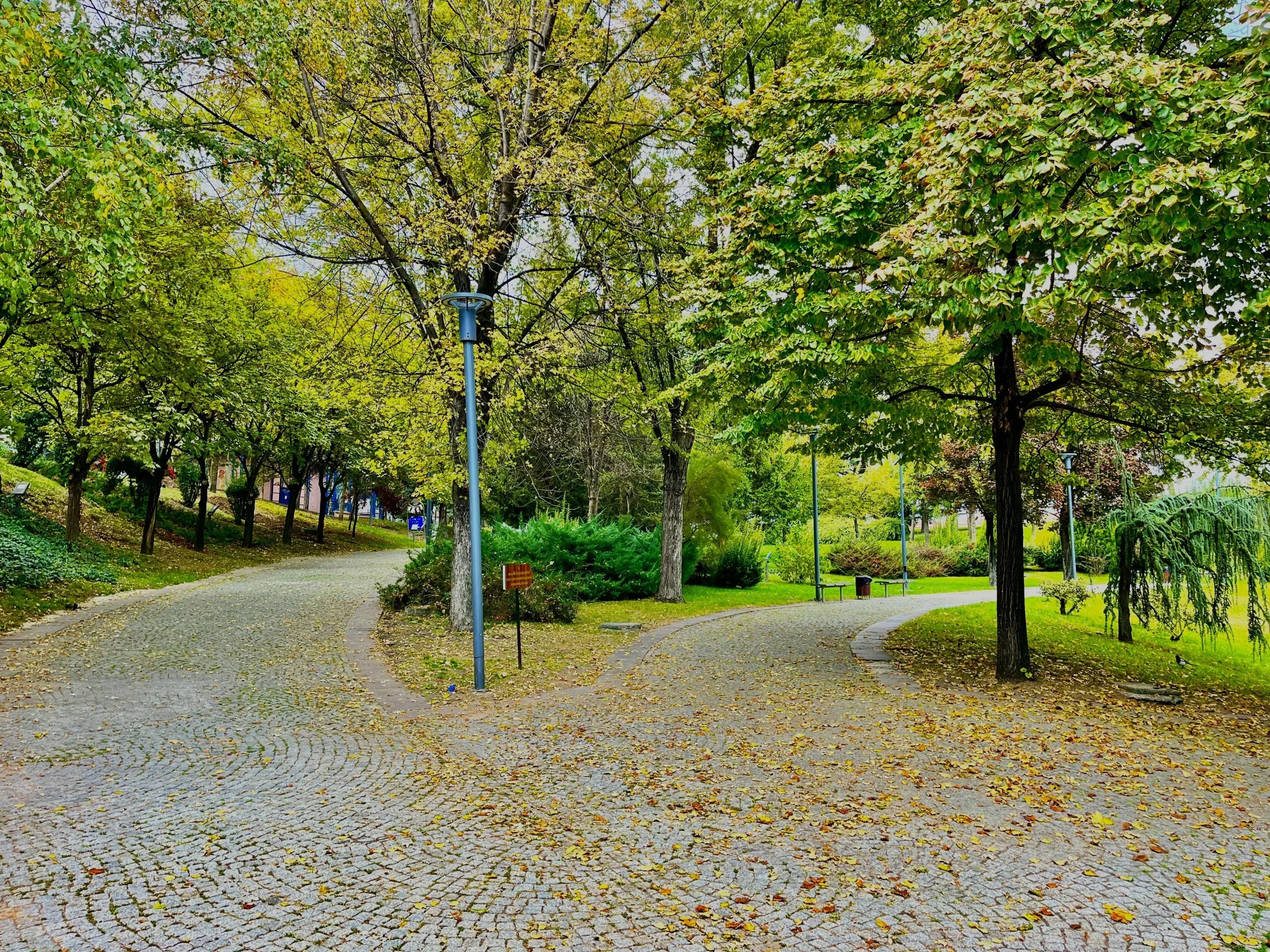 IMG_9995.webp
