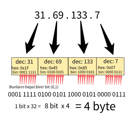 ipgrafik.webp