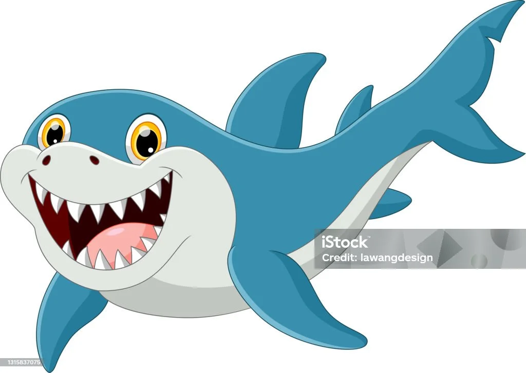 istockphoto-1315837075-1024x1024.webp