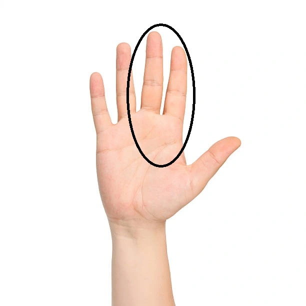 istockphoto-178565230-612x612.webp