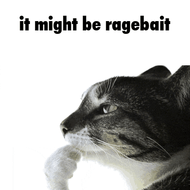 it-might-be-ragebait.gif