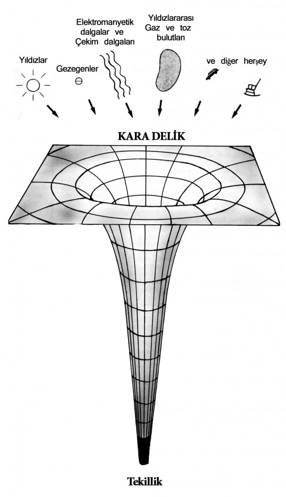 kd.webp