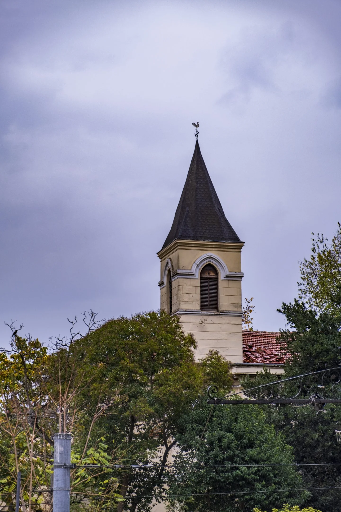kosk39 (1).webp