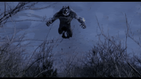 Kurt Adam.gif
