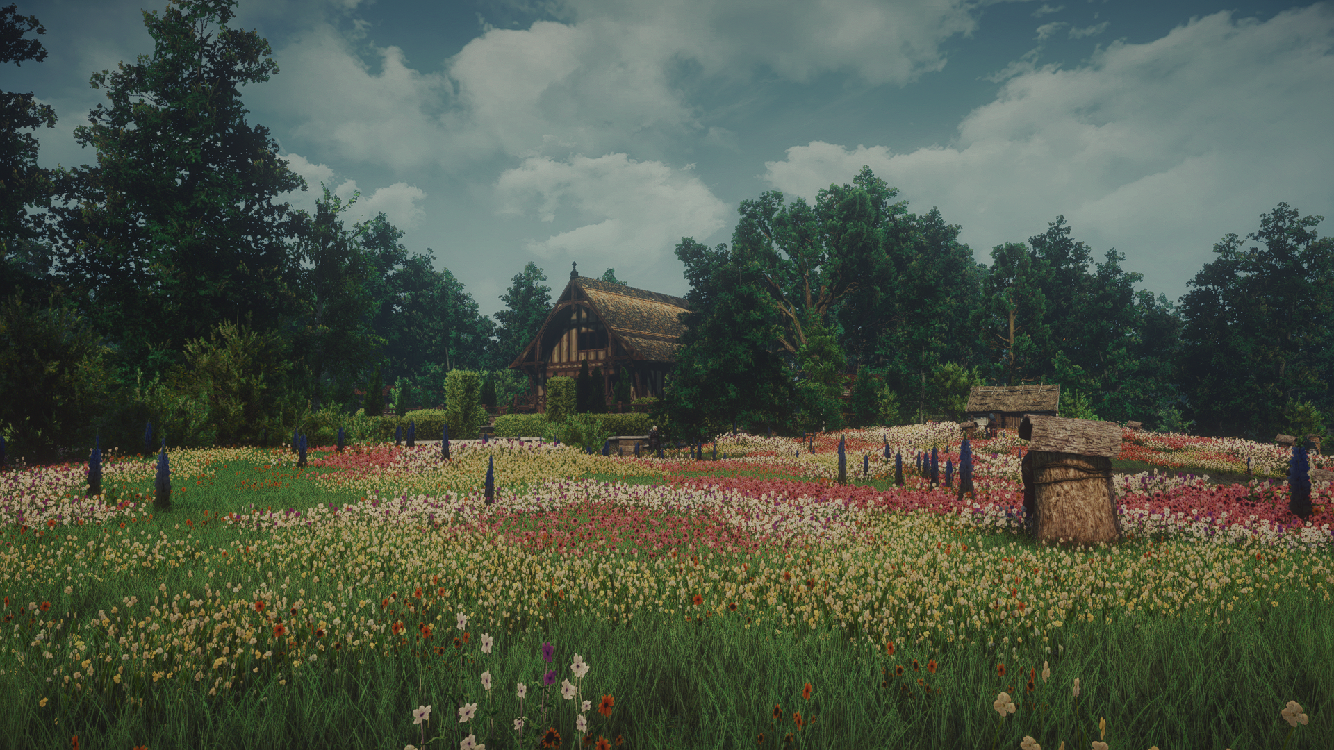 Landscape (3).webp