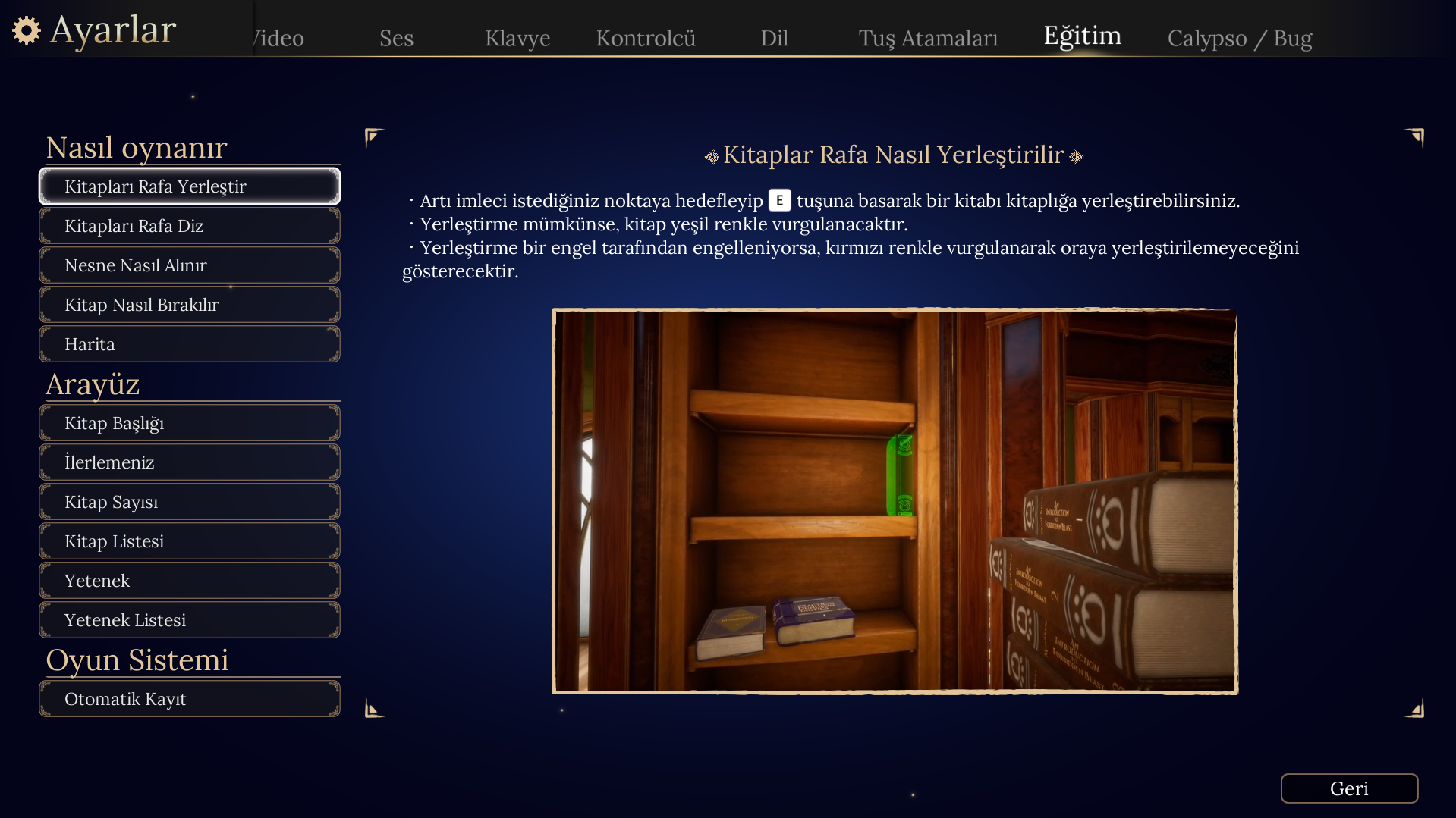 Librarian Tidy Up the Arcane Library! Calypso1.webp