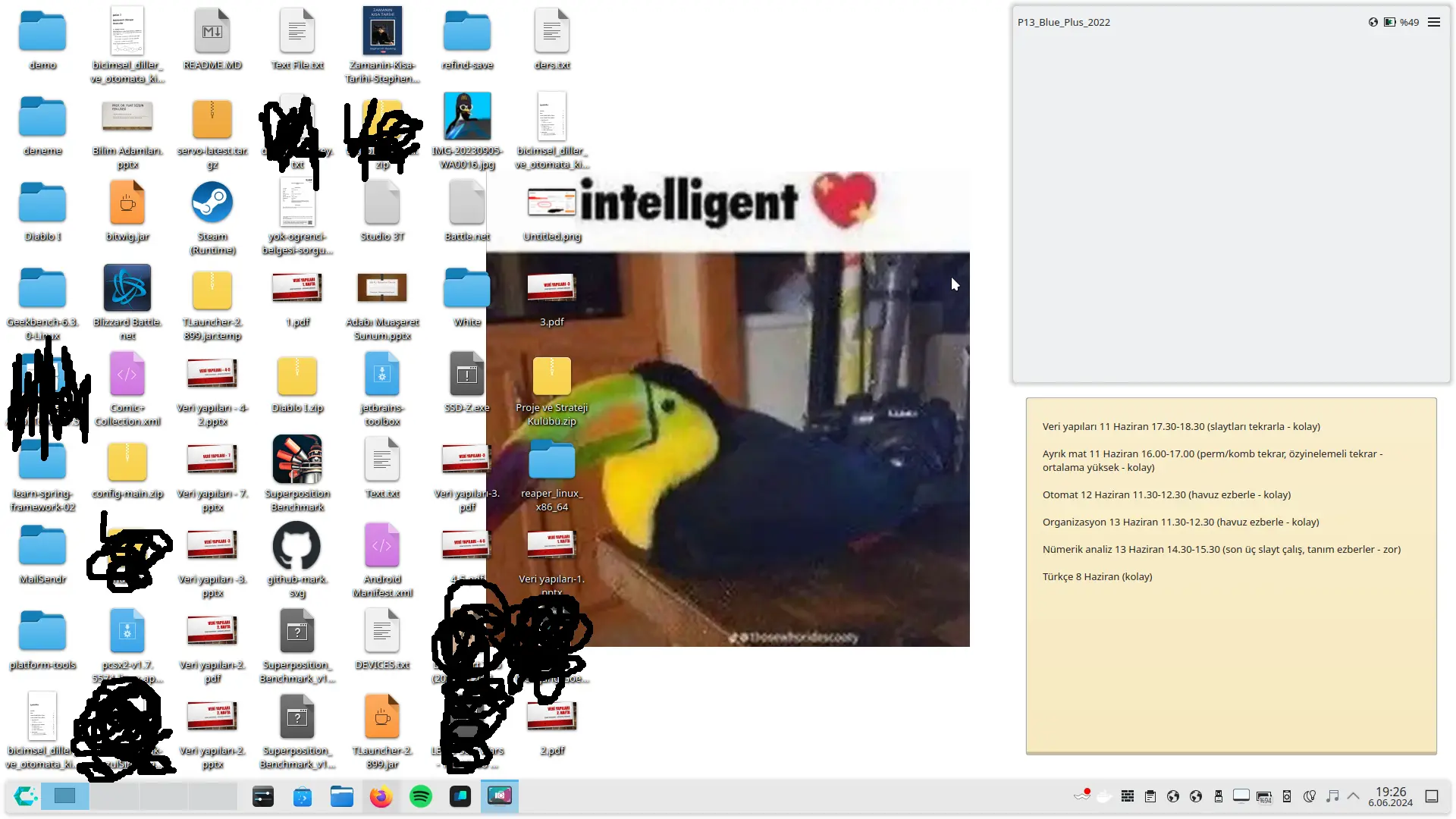 linaks.webp