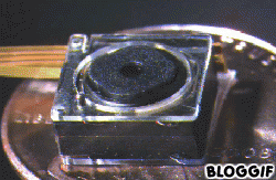 linse2.gif