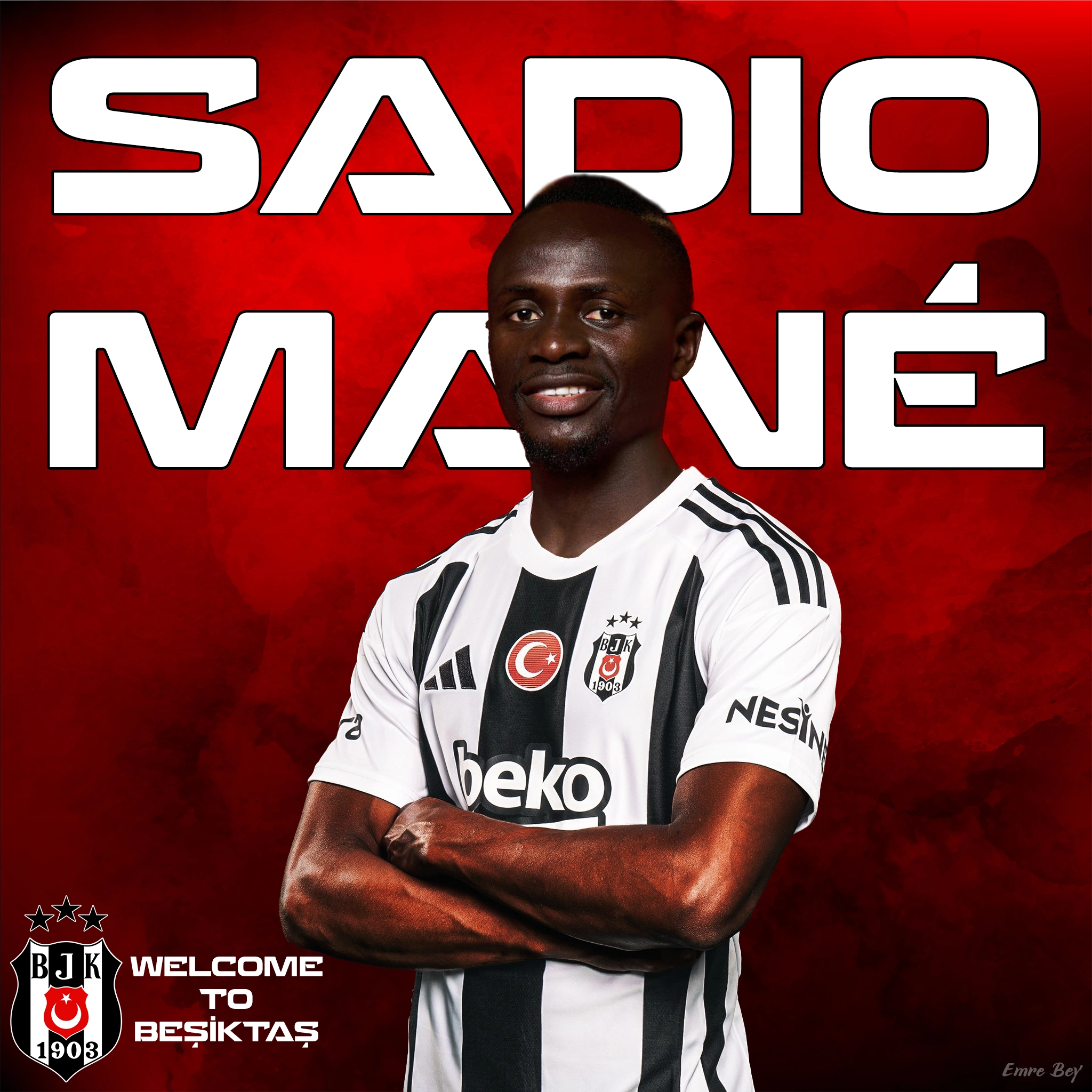 mane.webp