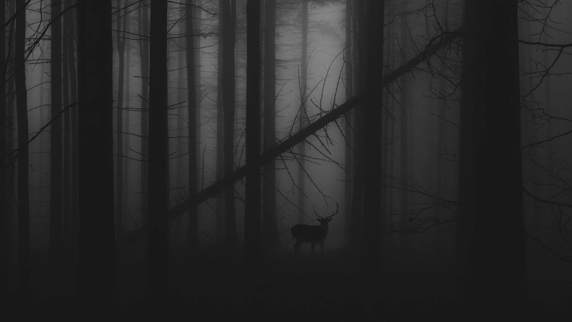 Masaüstü.webp