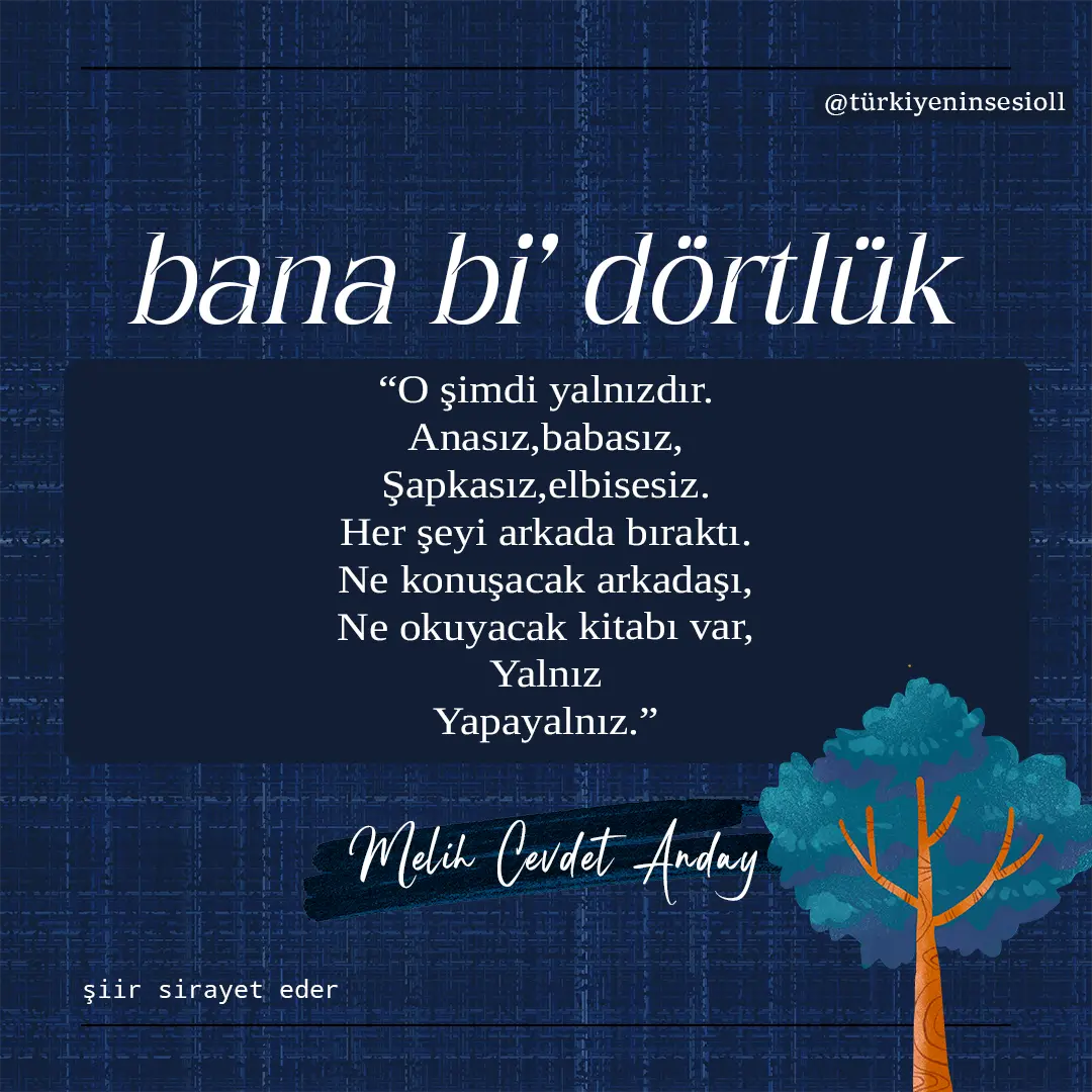 melocevdet.webp